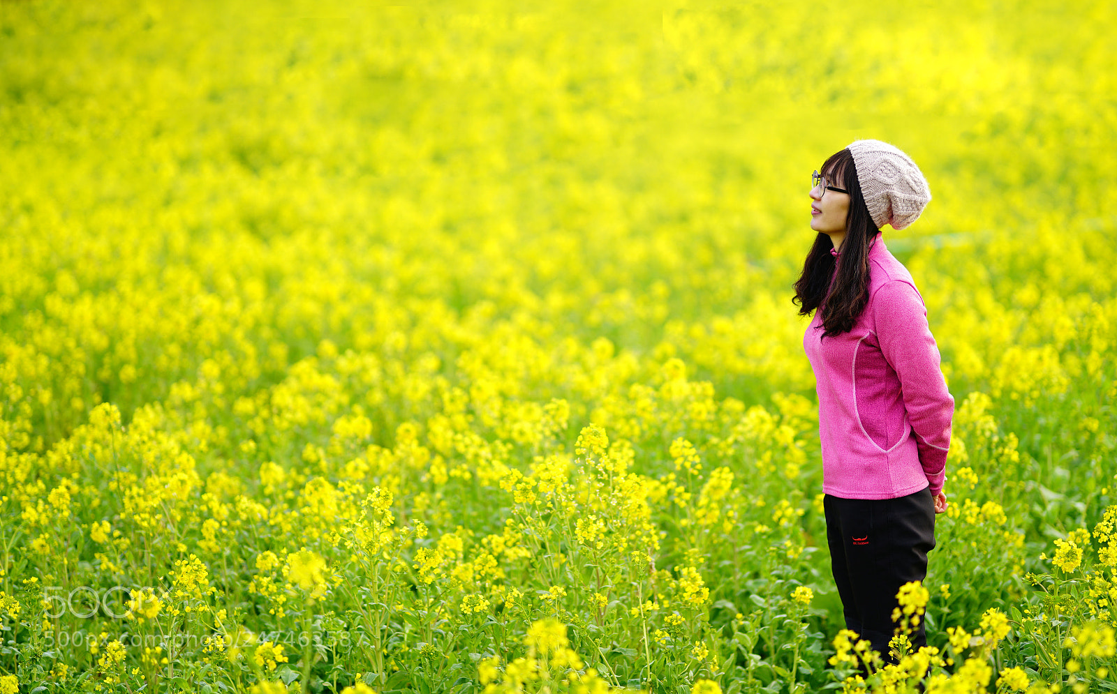 Sony a7R II sample photo. Spring photography