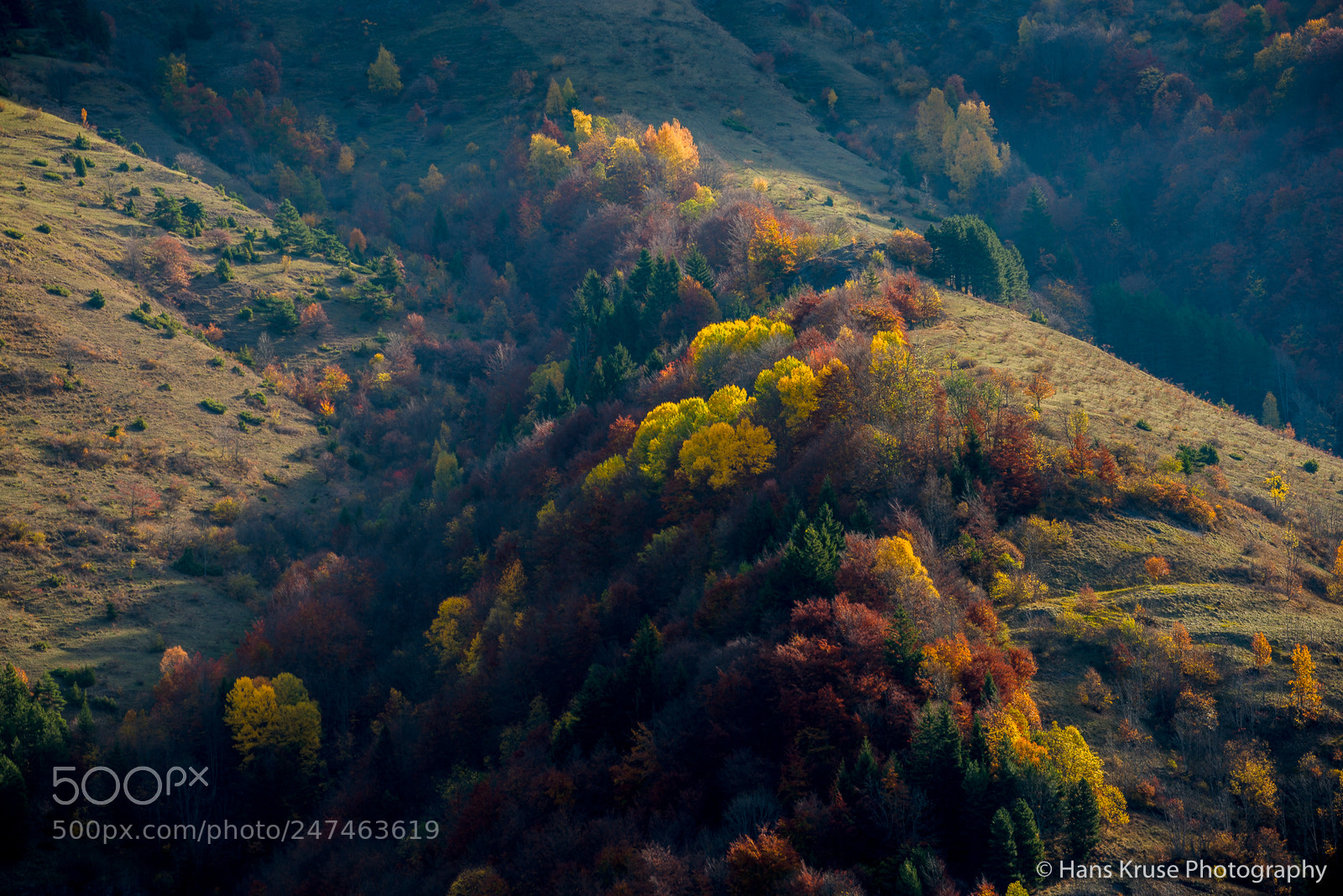 Nikon D810 sample photo. Autumn colors in france photography