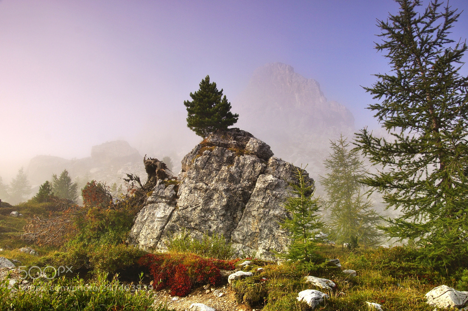 Sony SLT-A77 sample photo. Autumn in the dolomites photography