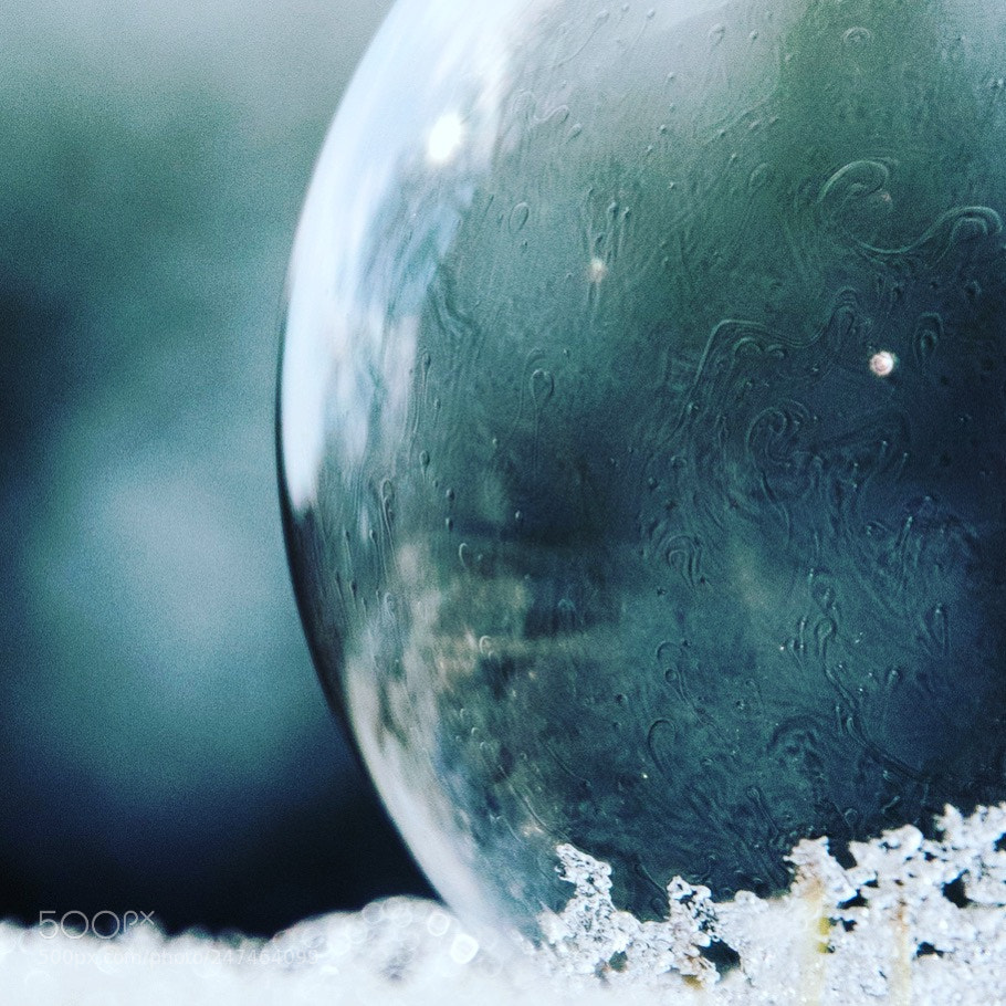 Nikon D5600 sample photo. Cold❄️ photography