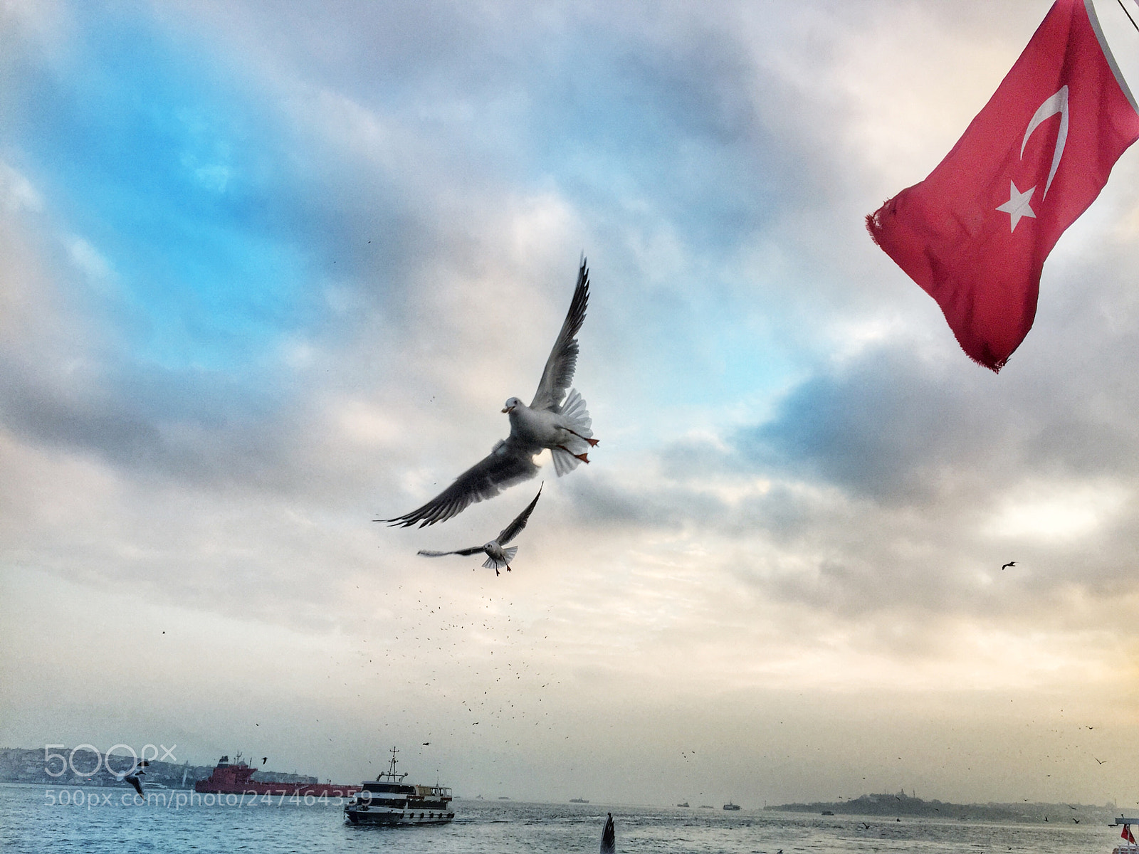 Apple iPhone 6 sample photo. #turkey istanbul photography