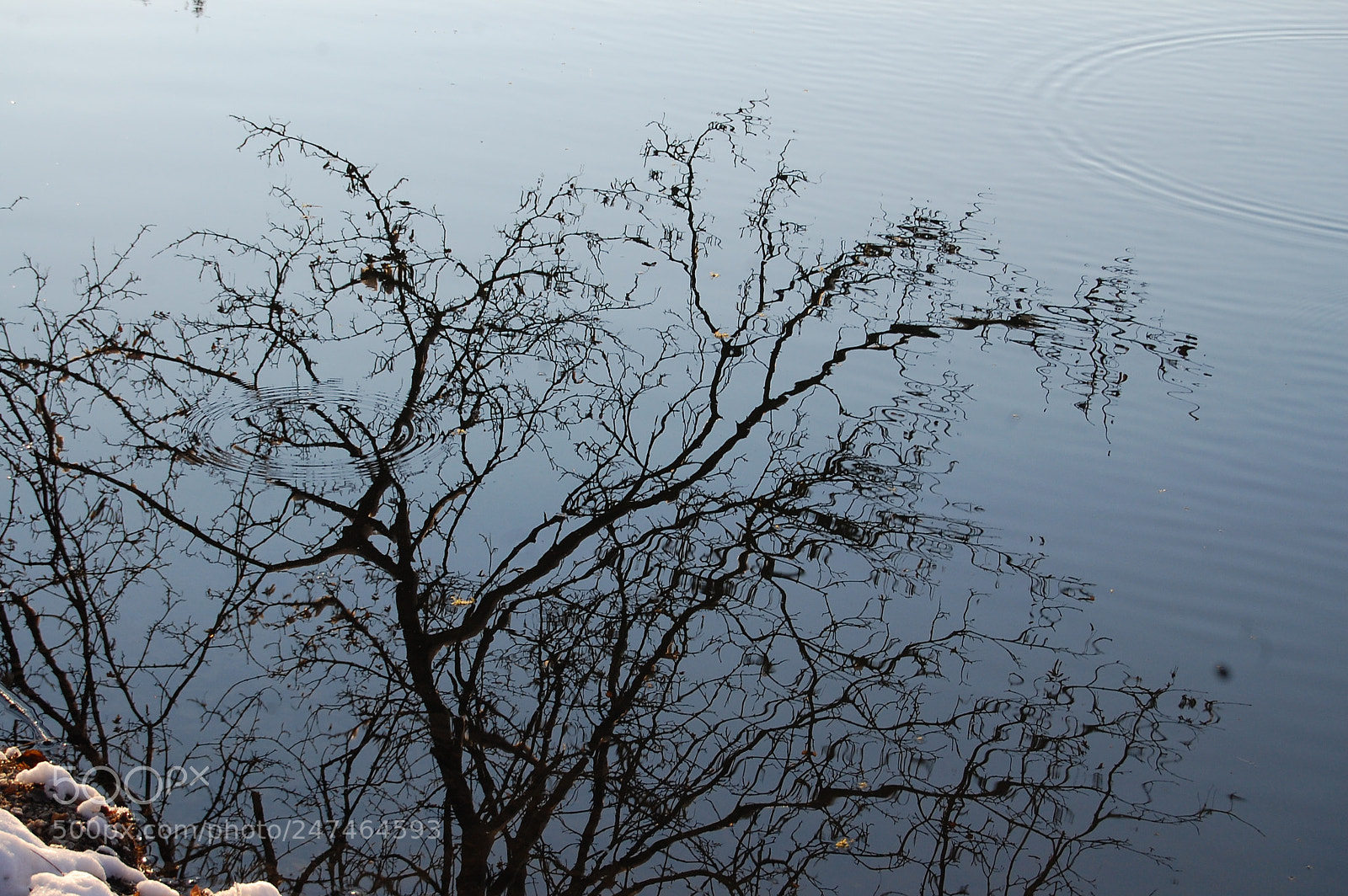 Nikon D40 sample photo. C: photography