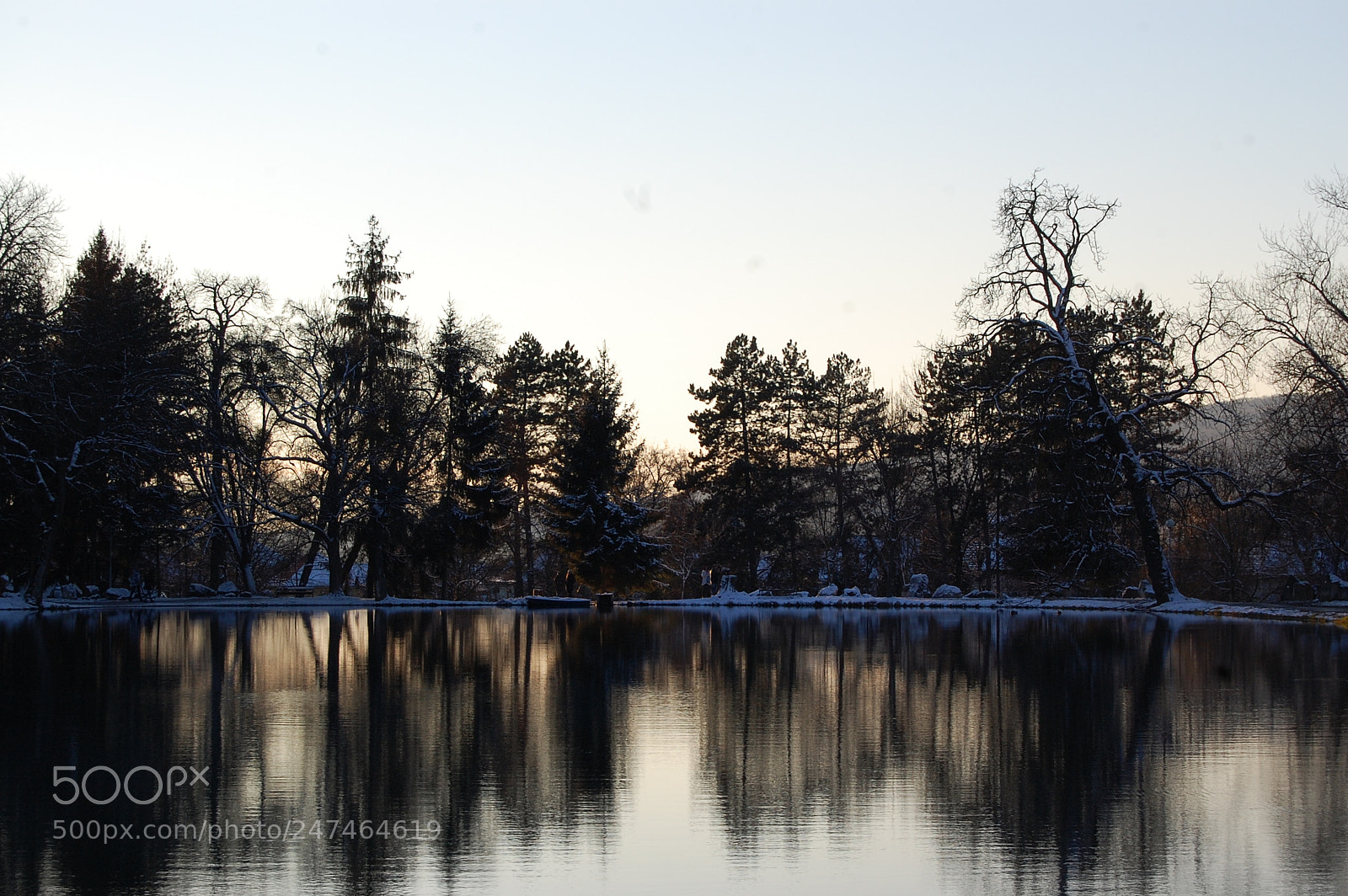 Nikon D40 sample photo. C: photography