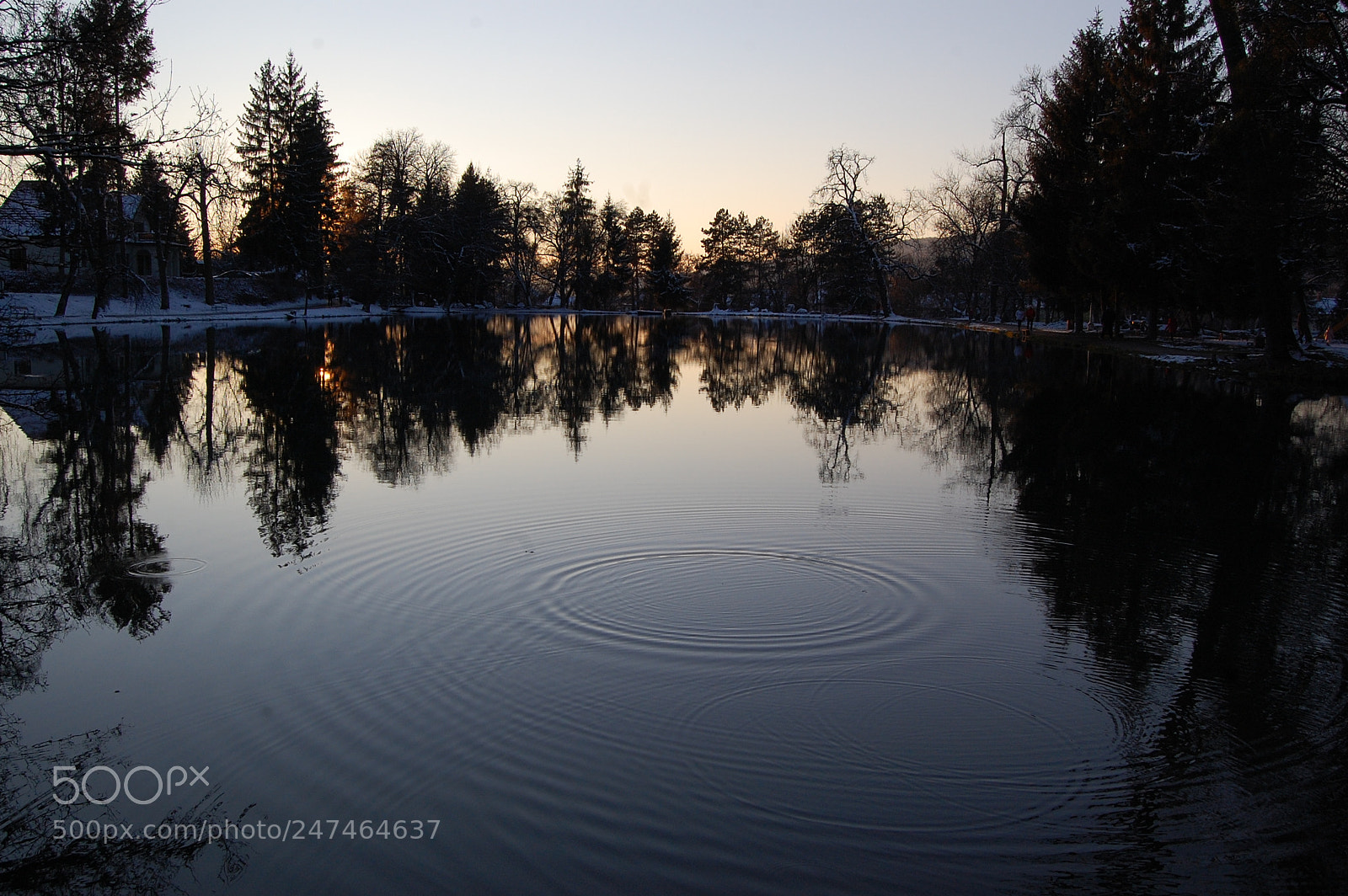 Nikon D40 sample photo. C: photography