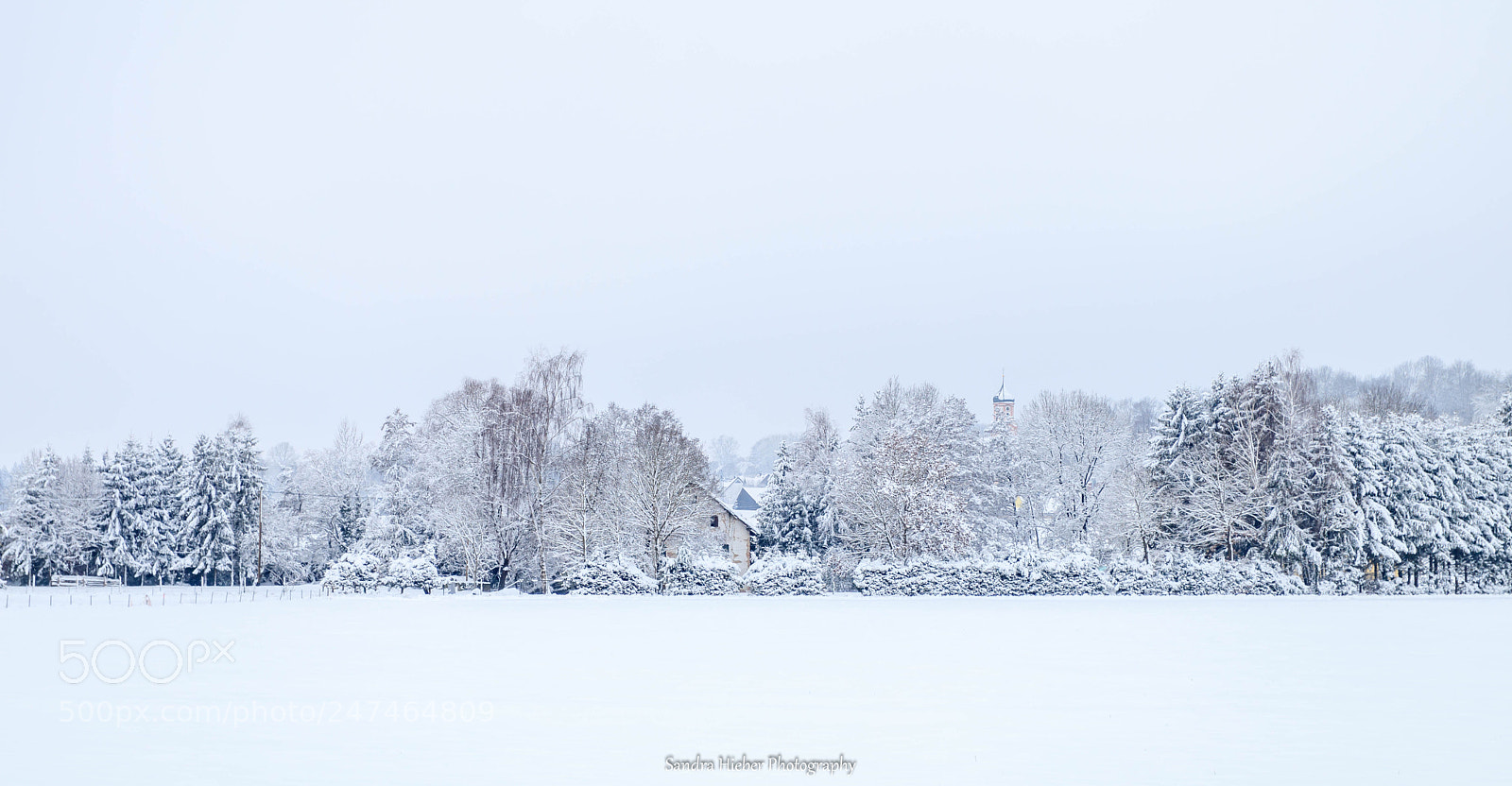 Canon EOS 80D sample photo. Winter photography