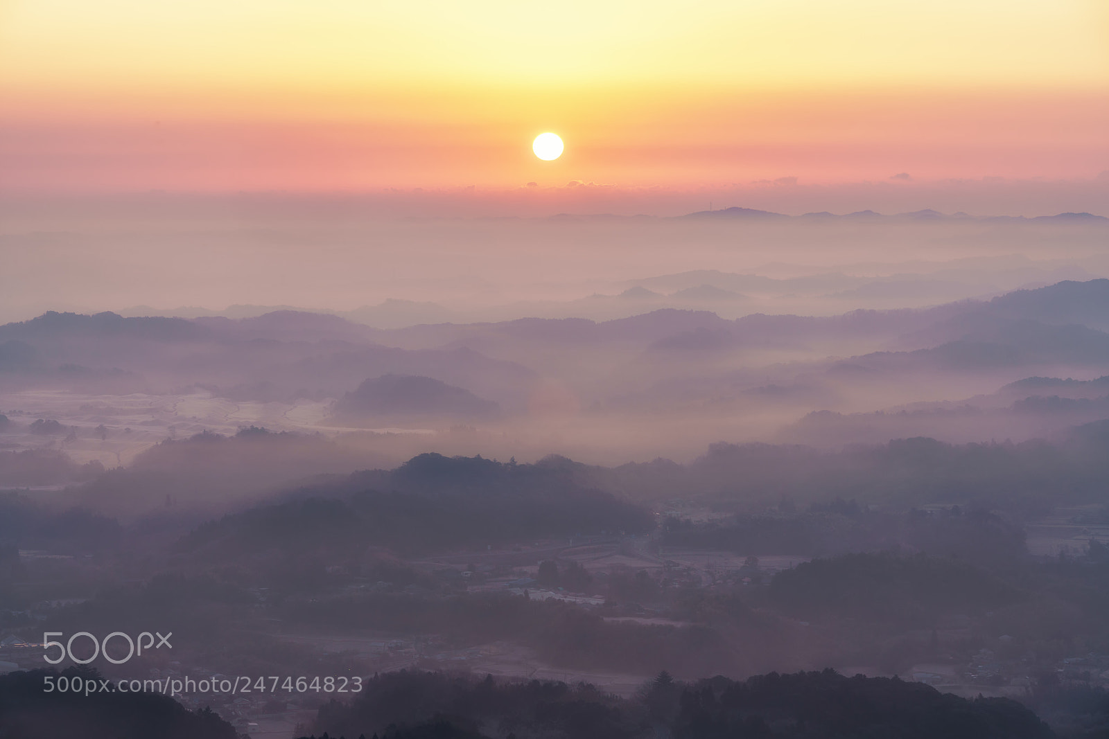 Sony a7R III sample photo. Sunrise in the fog photography