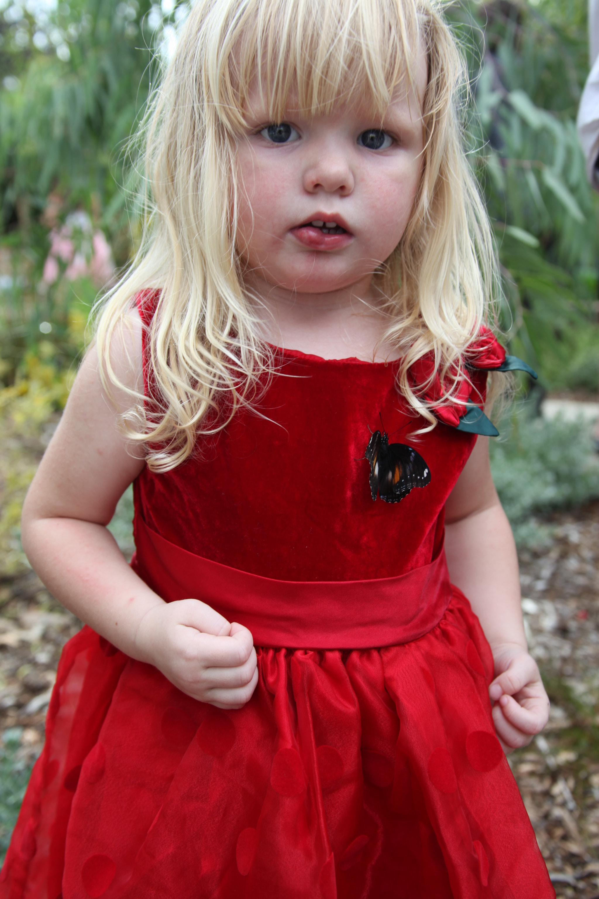 Canon EF 28-135mm F3.5-5.6 IS USM sample photo. Img photography