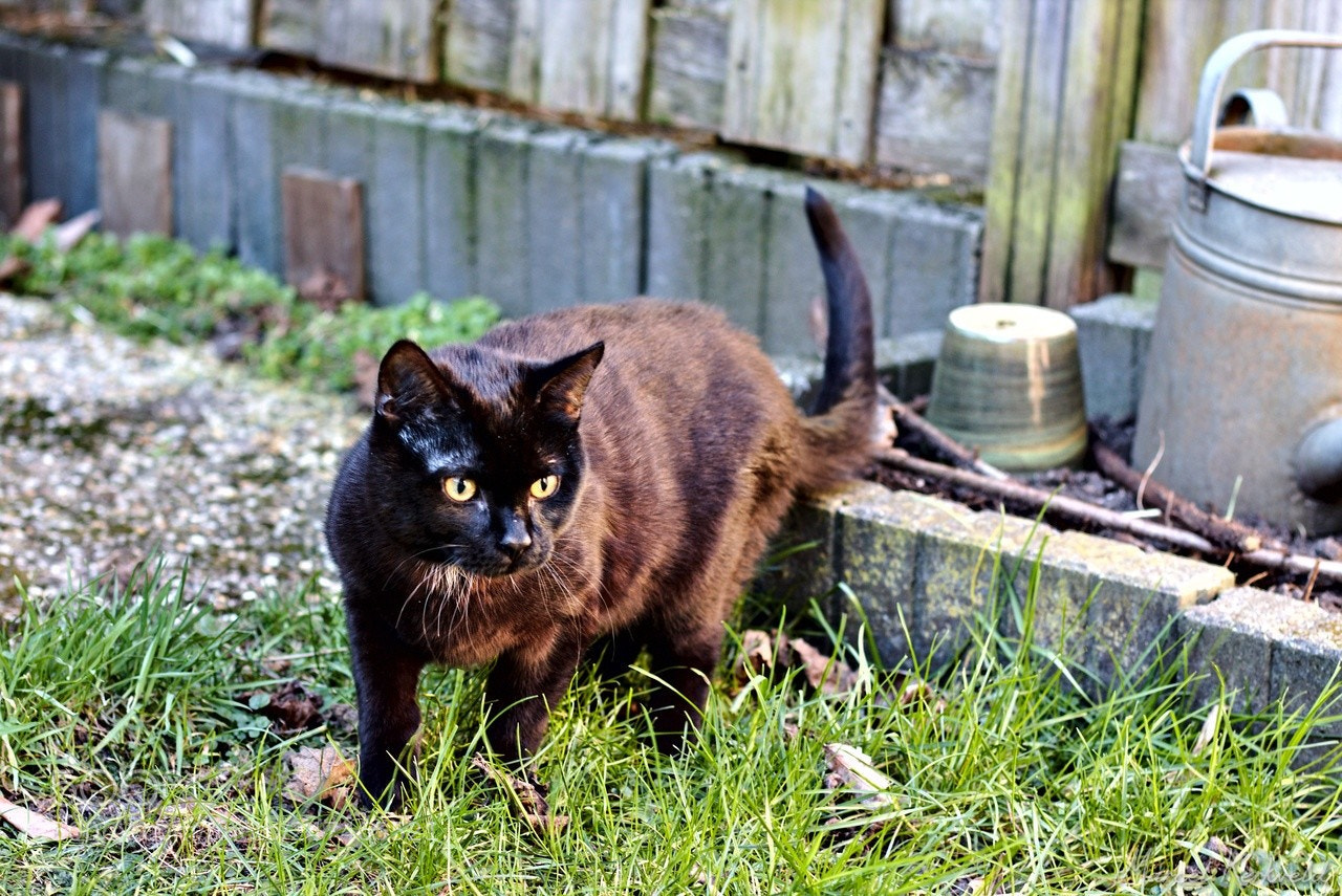 Canon EOS 70D + Canon EF 50mm F1.8 STM sample photo. First time out photography