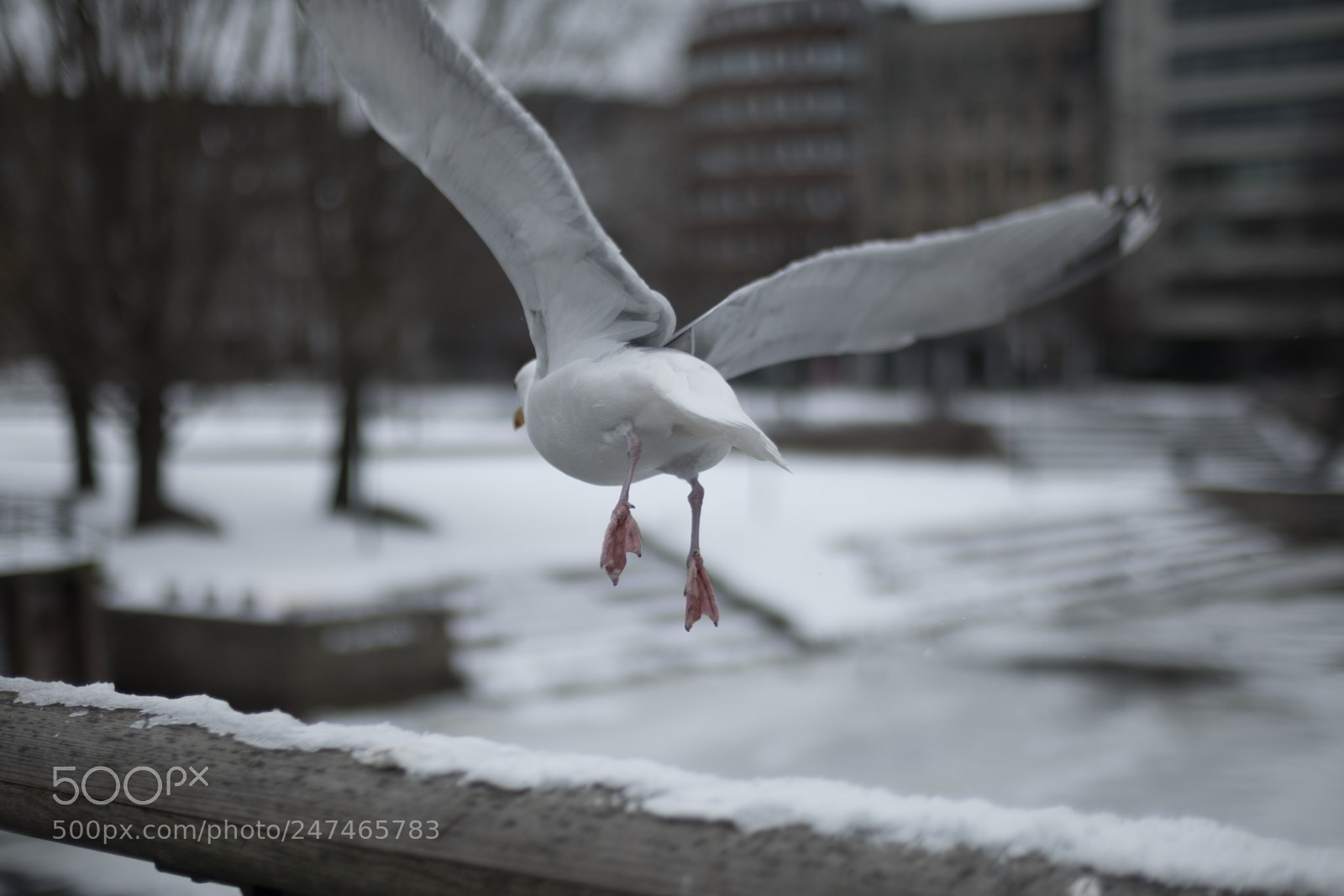 Fujifilm X-T2 sample photo. Untitled photography