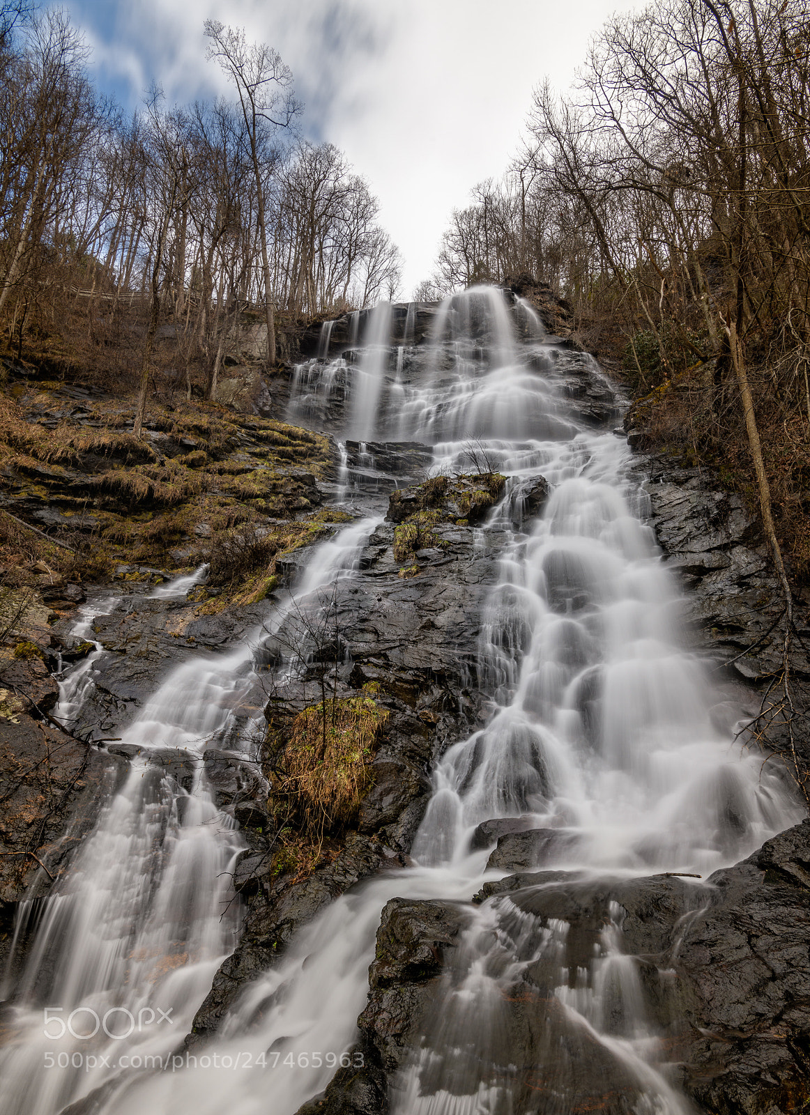 Nikon D850 sample photo. Amicalola falls the upper photography