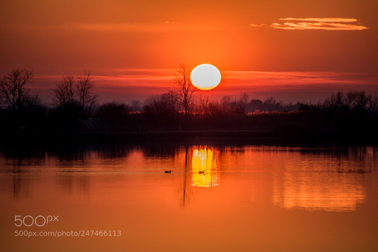 Nikon D5500 sample photo. Tramonto a lio piccolo photography