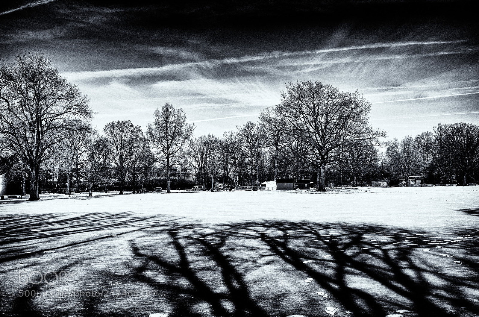 Ricoh GR sample photo. Winter light photography