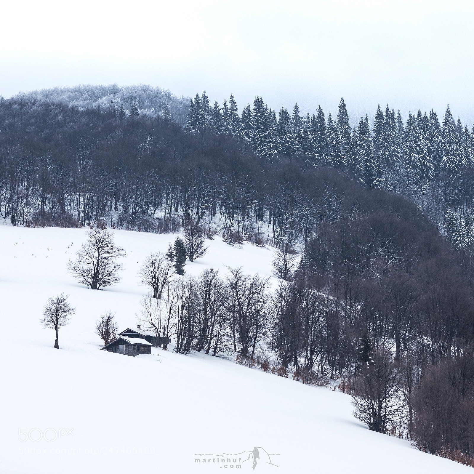 Canon EOS 80D sample photo. The place to live photography
