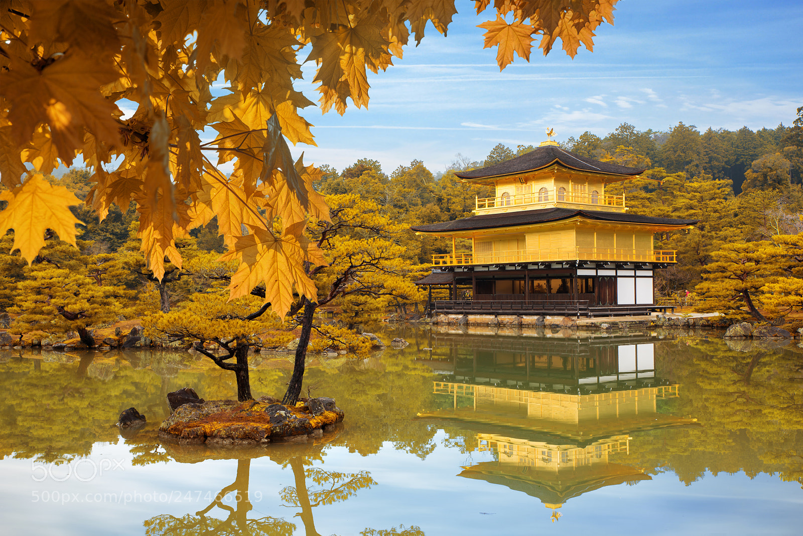 Nikon D800 sample photo. Japan autumn season of photography