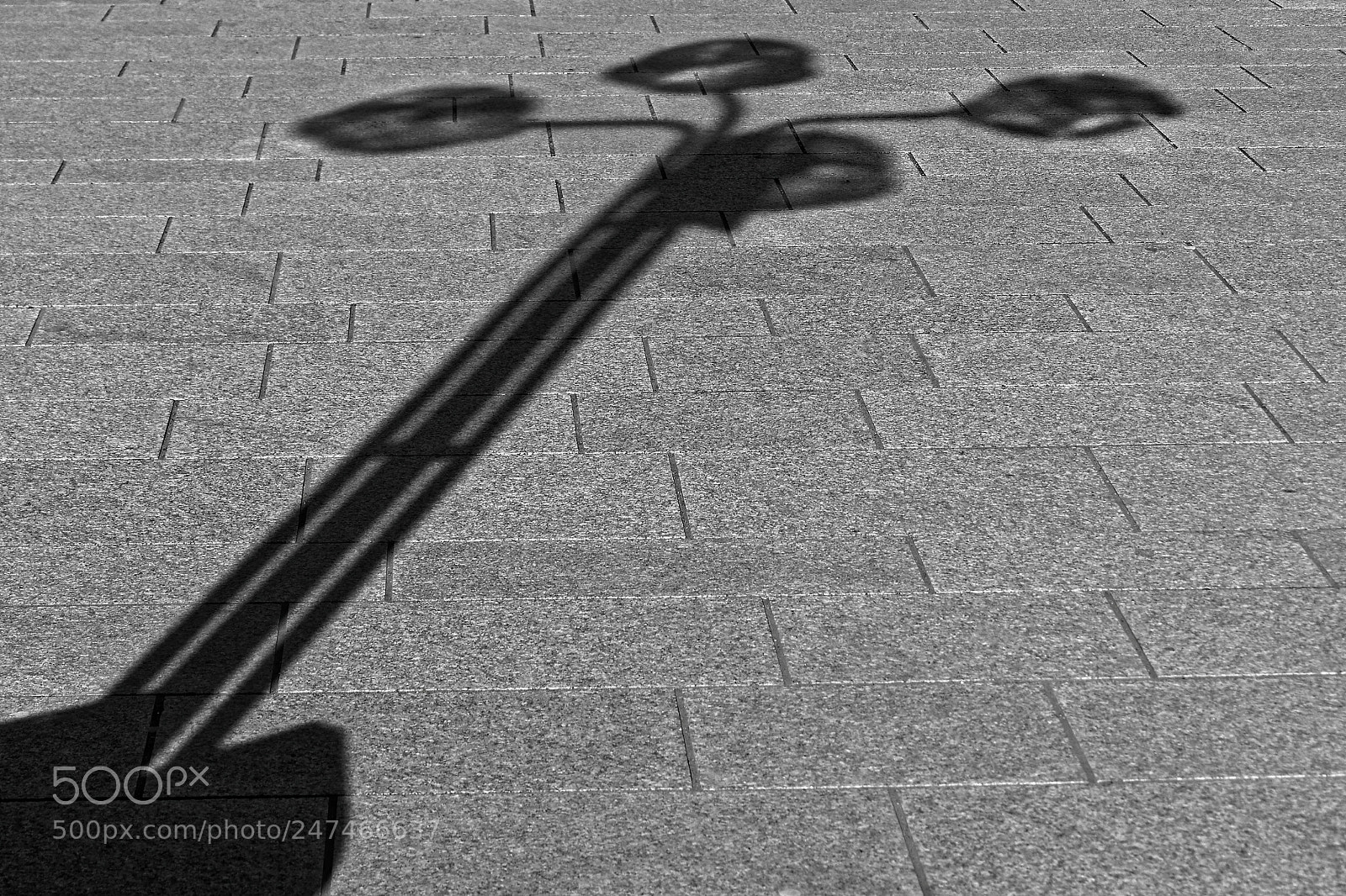 Olympus OM-D E-M10 sample photo. Shadow photography