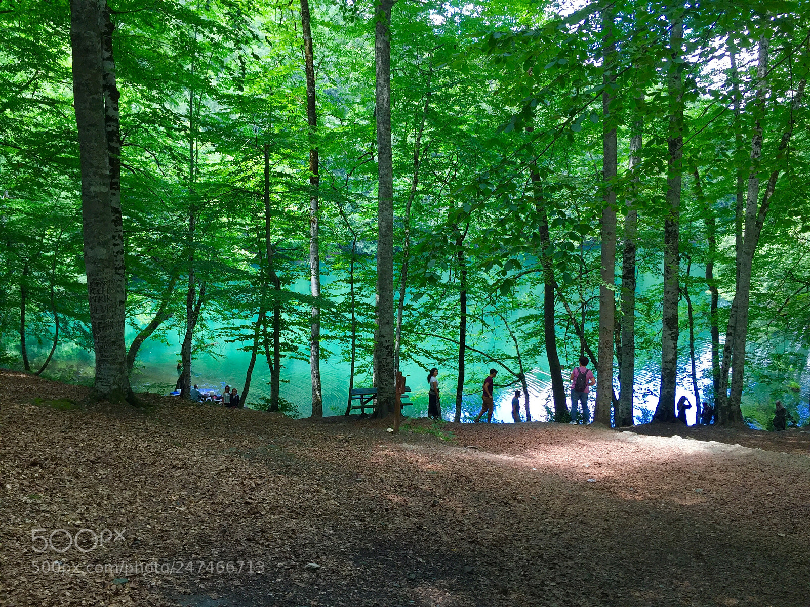 Apple iPhone 6 sample photo. #turkey bolu yedigoller photography
