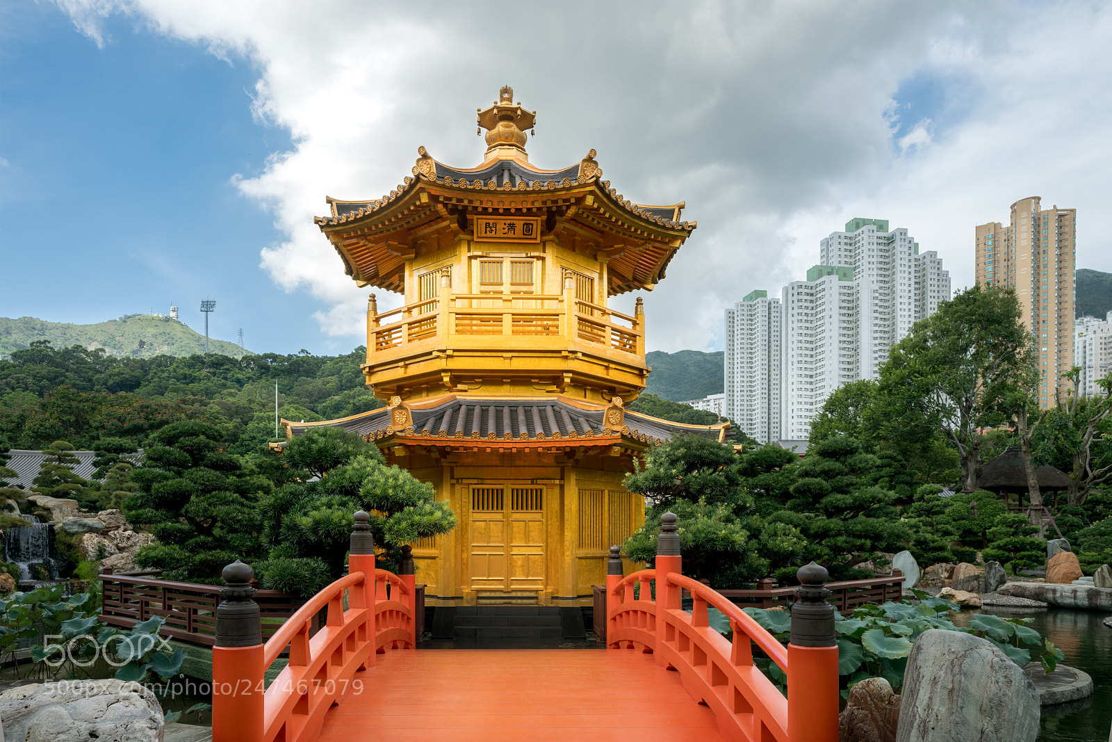 Sony a7R II sample photo. Front view the golden photography