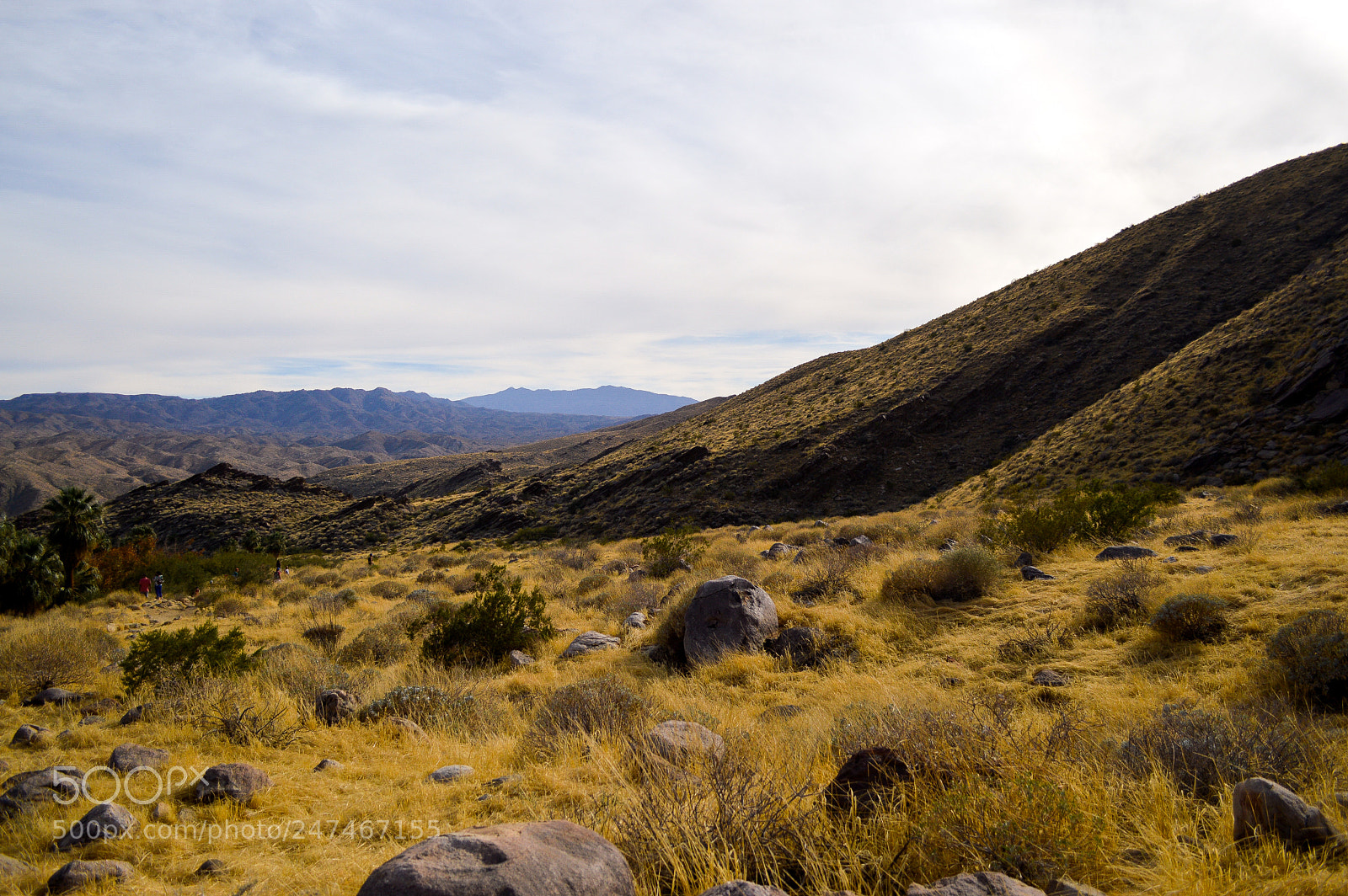 Nikon D3200 sample photo. Landscape at joshua tree photography