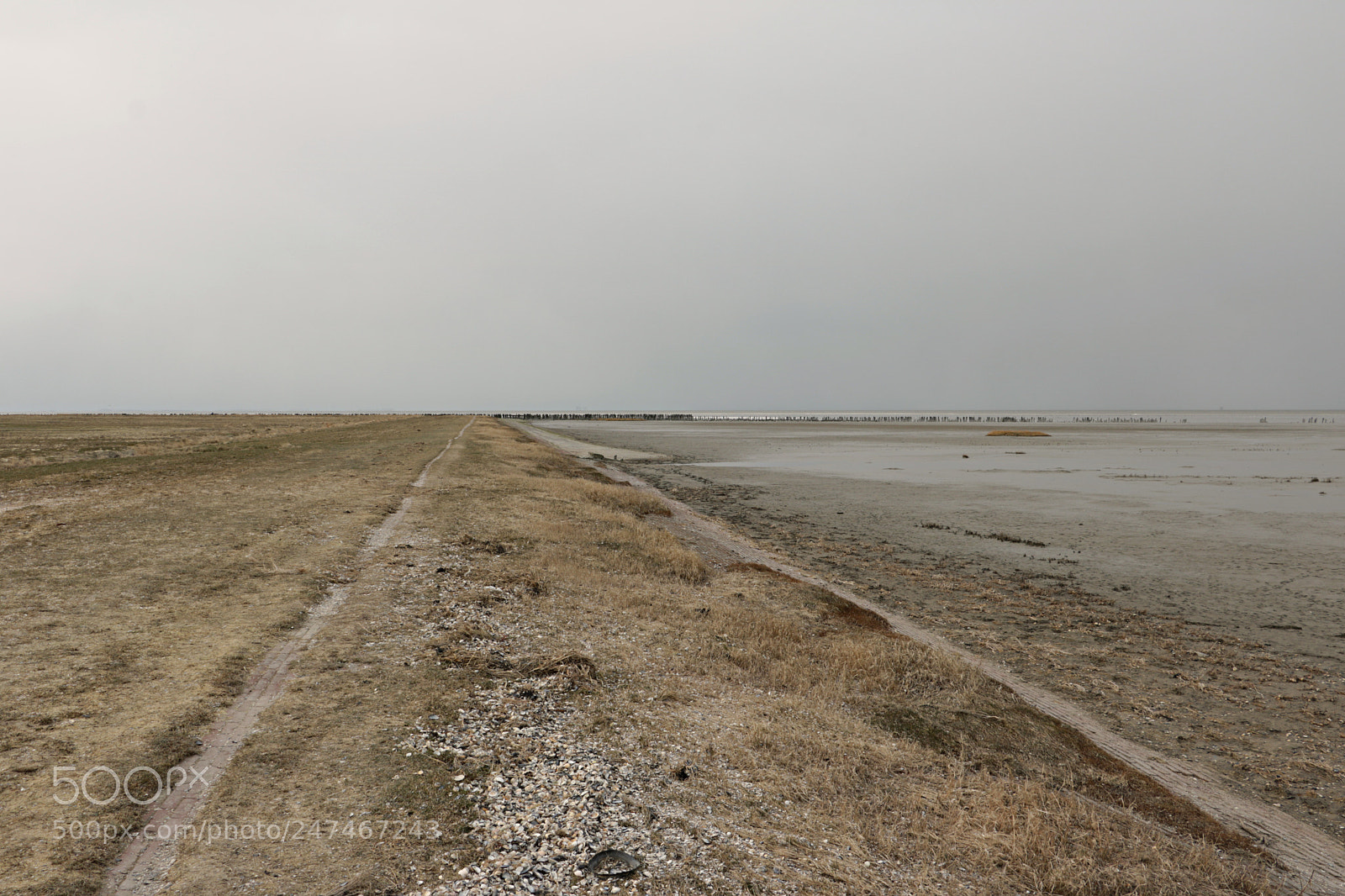 Canon EOS 760D (EOS Rebel T6s / EOS 8000D) sample photo. Cold winter in friesland photography