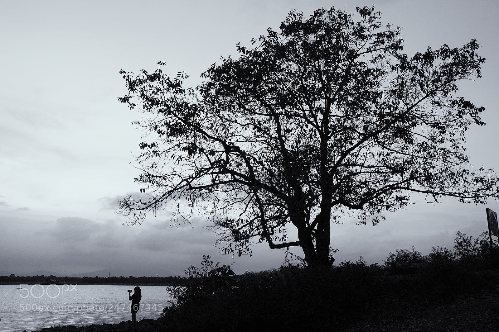Canon EOS 50D sample photo. Untitled photography