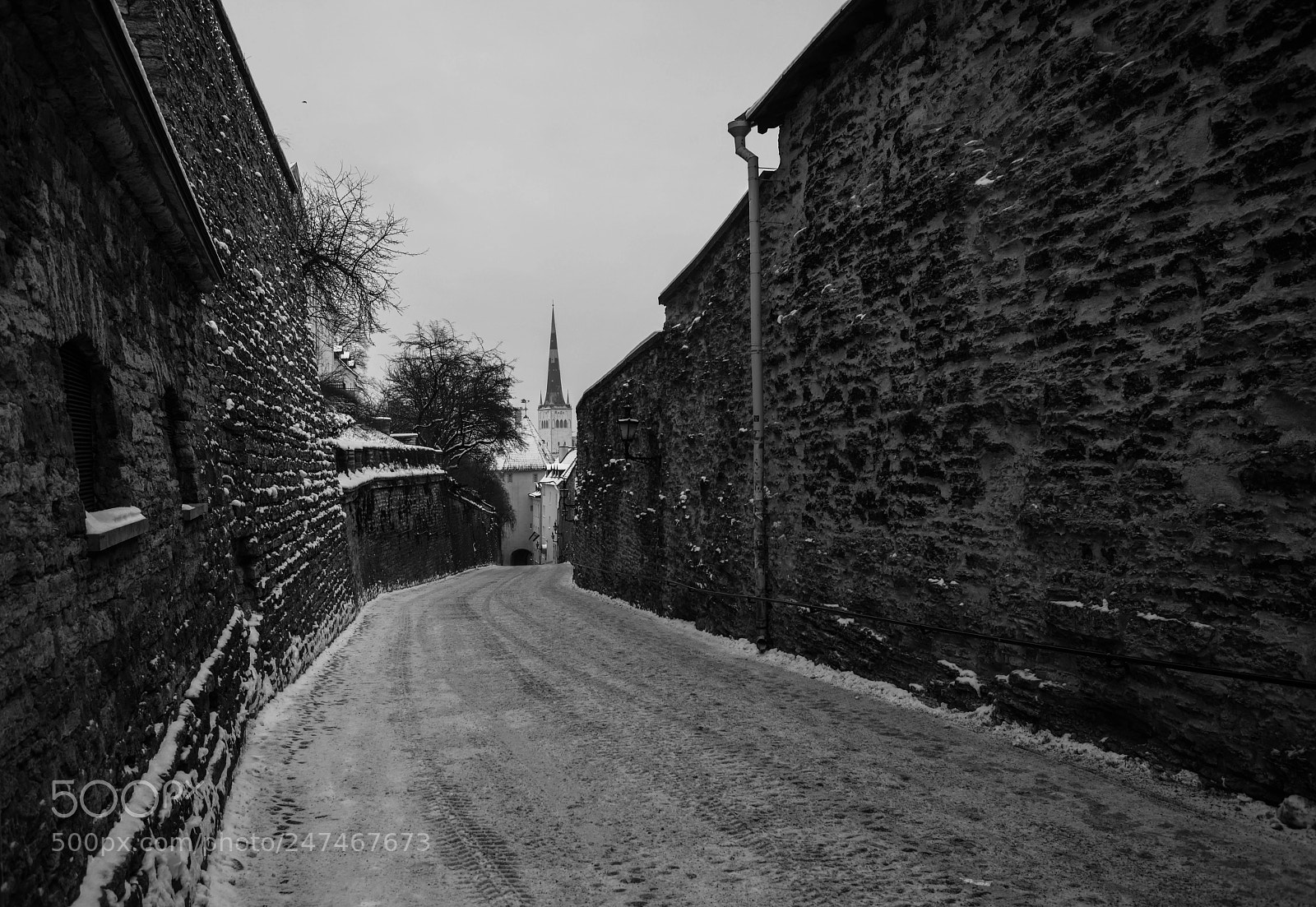Nikon D850 sample photo. Sunday path photography