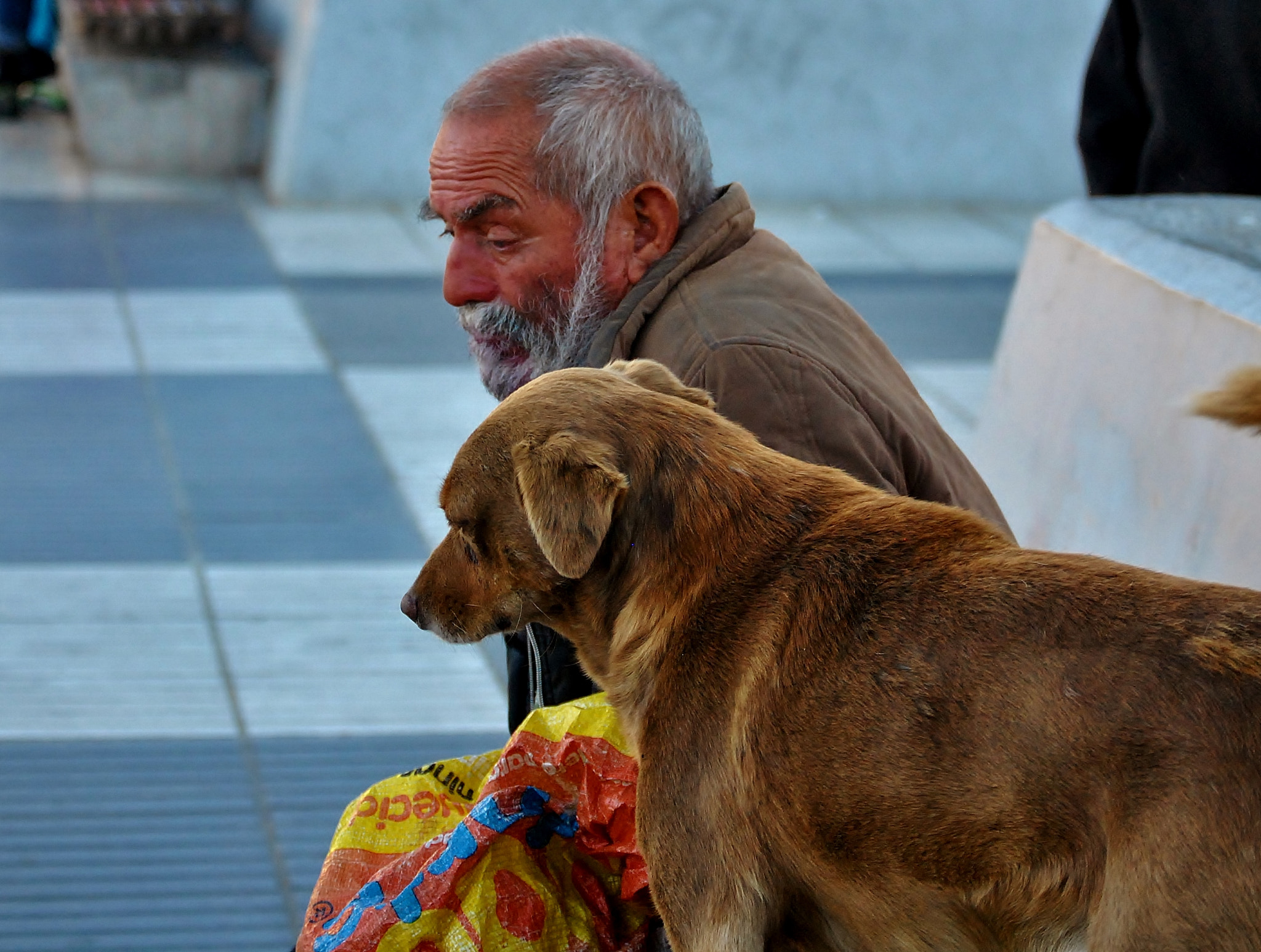 Nikon D3000 sample photo. Remember photography
