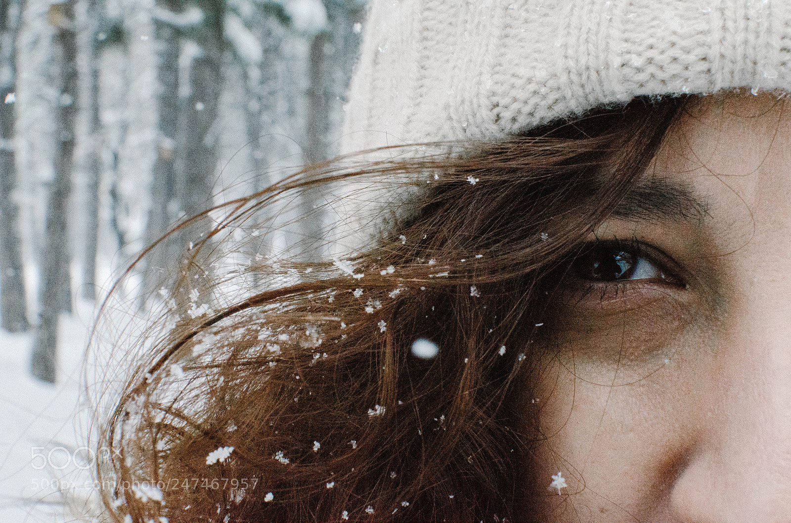 Nikon D5100 sample photo. Uncategorized photography