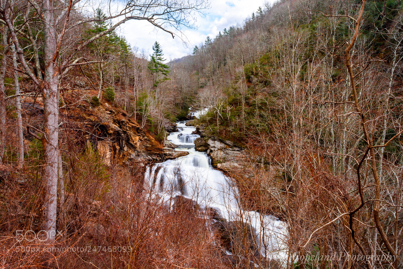 Nikon D7200 sample photo. Along the road photography