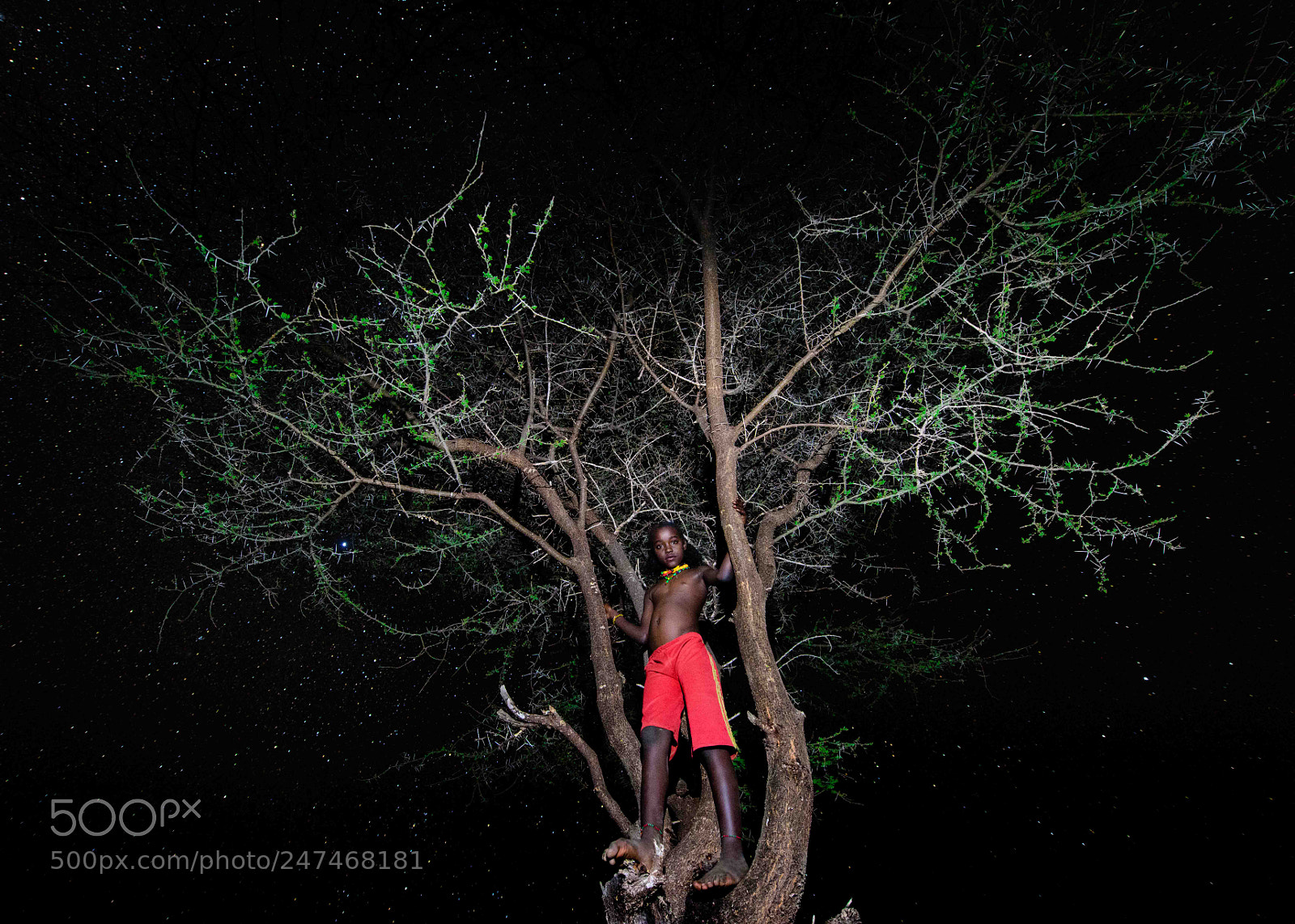 Nikon D810 sample photo. Night portrait photography