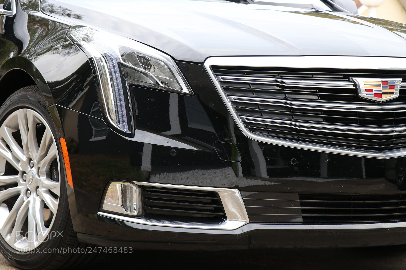 Canon EOS 80D sample photo. 2018 cadillac model photography