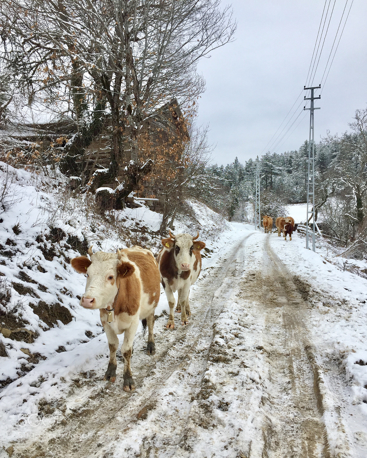Apple iPhone 6 sample photo. #turkey kastamonu photography
