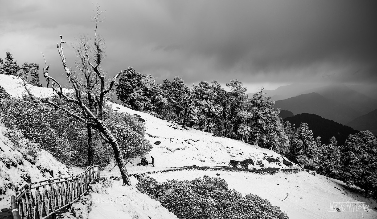 Nikon D810 sample photo. Suddenly photography