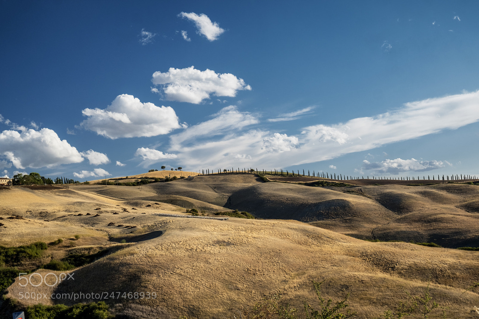 Fujifilm X-T2 sample photo. Summer landscape near asciano photography