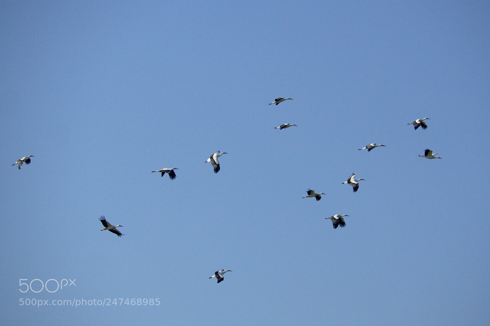 Olympus OM-D E-M10 sample photo. Fighting the cold wind photography