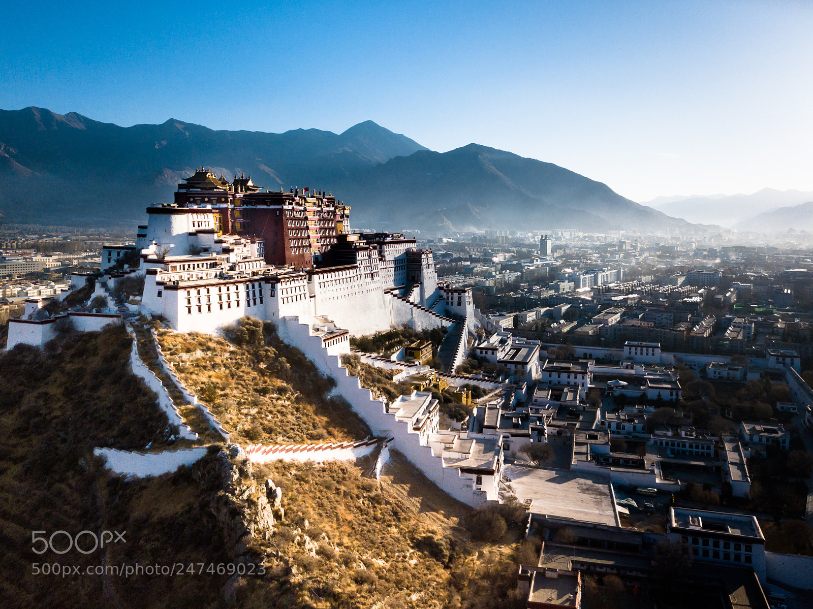 DJI FC220 sample photo. Flying up potala palace photography