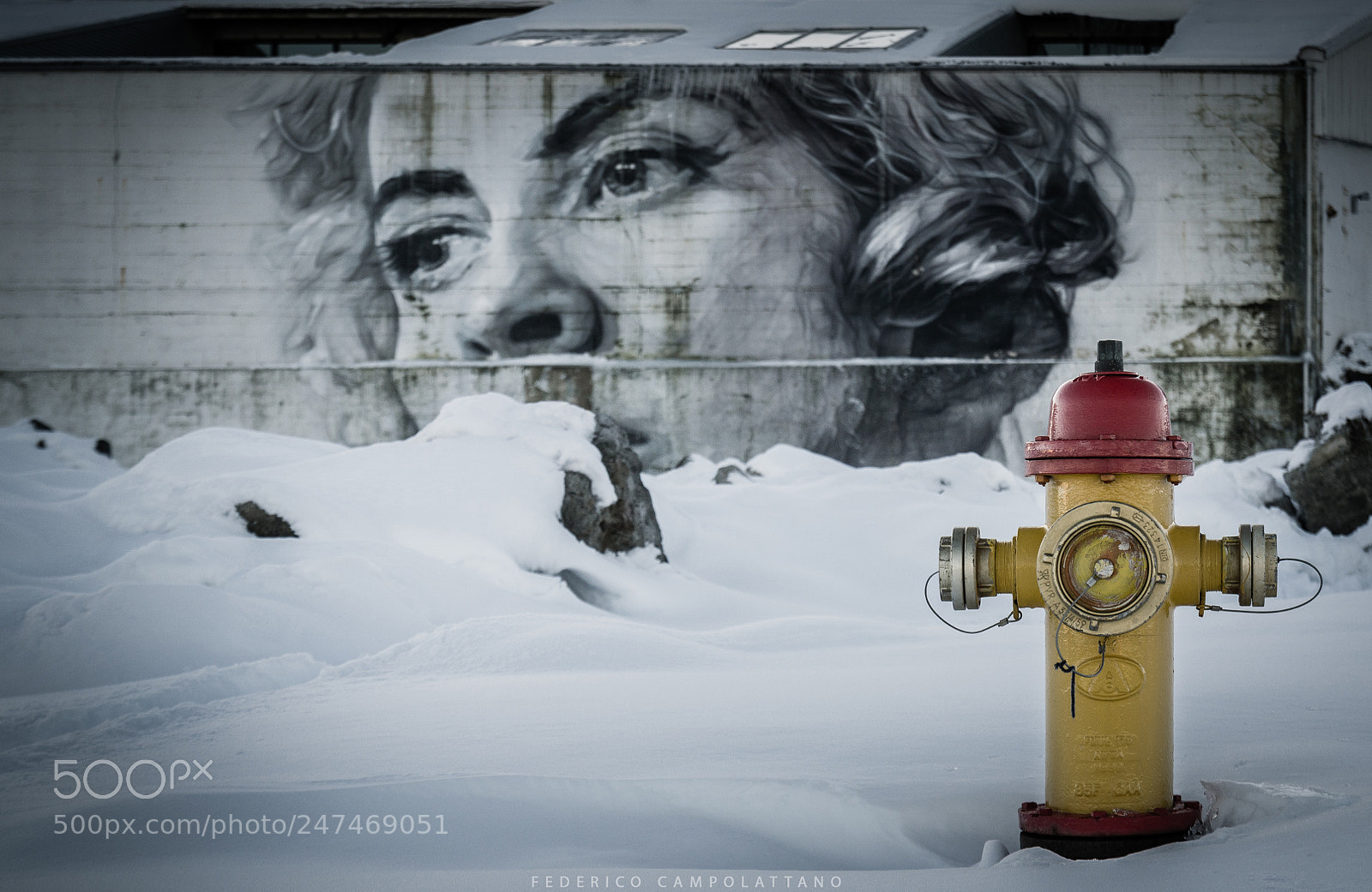 Nikon D3100 sample photo. A wall in reykjav photography