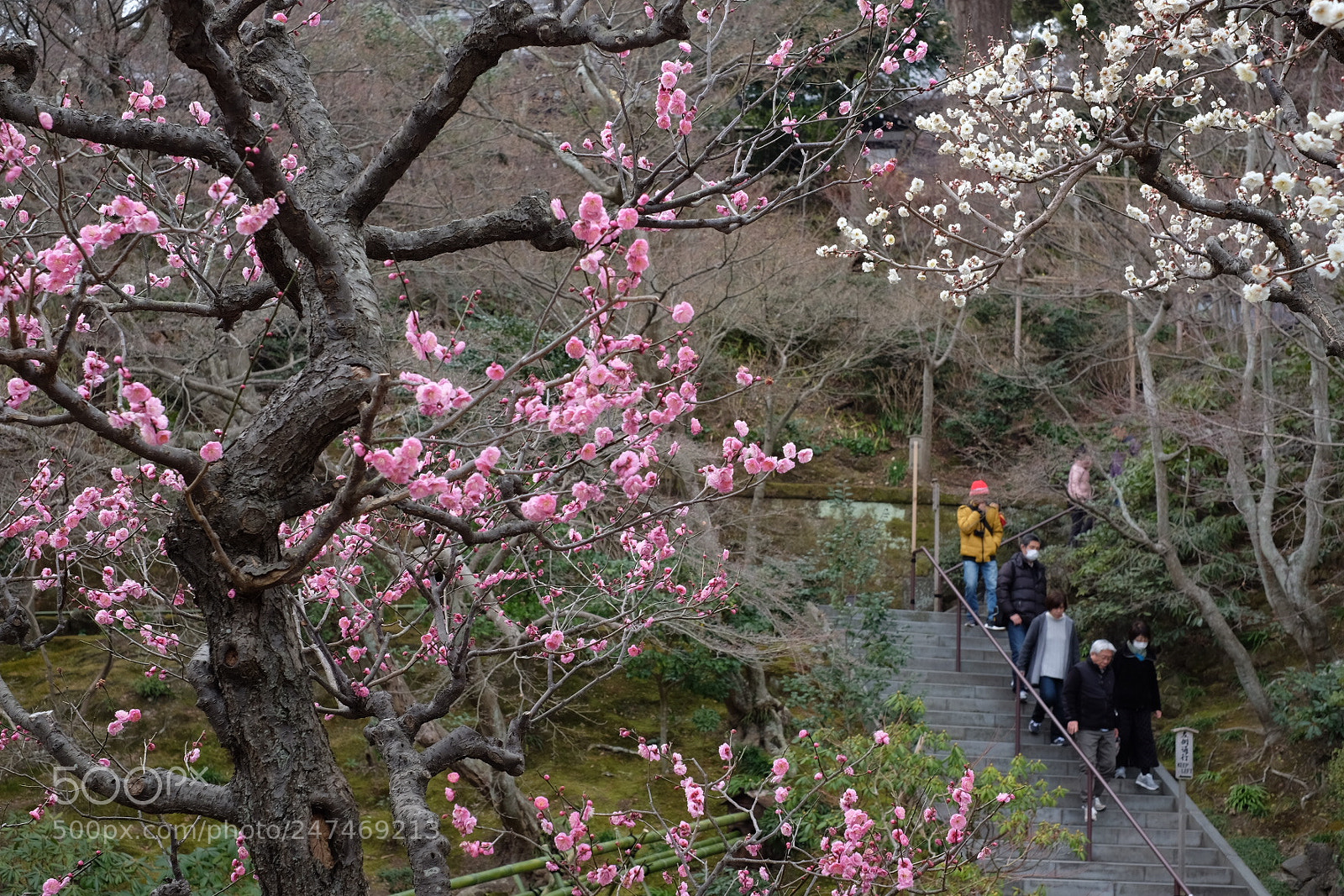 Fujifilm X-T1 sample photo. Untitled photography