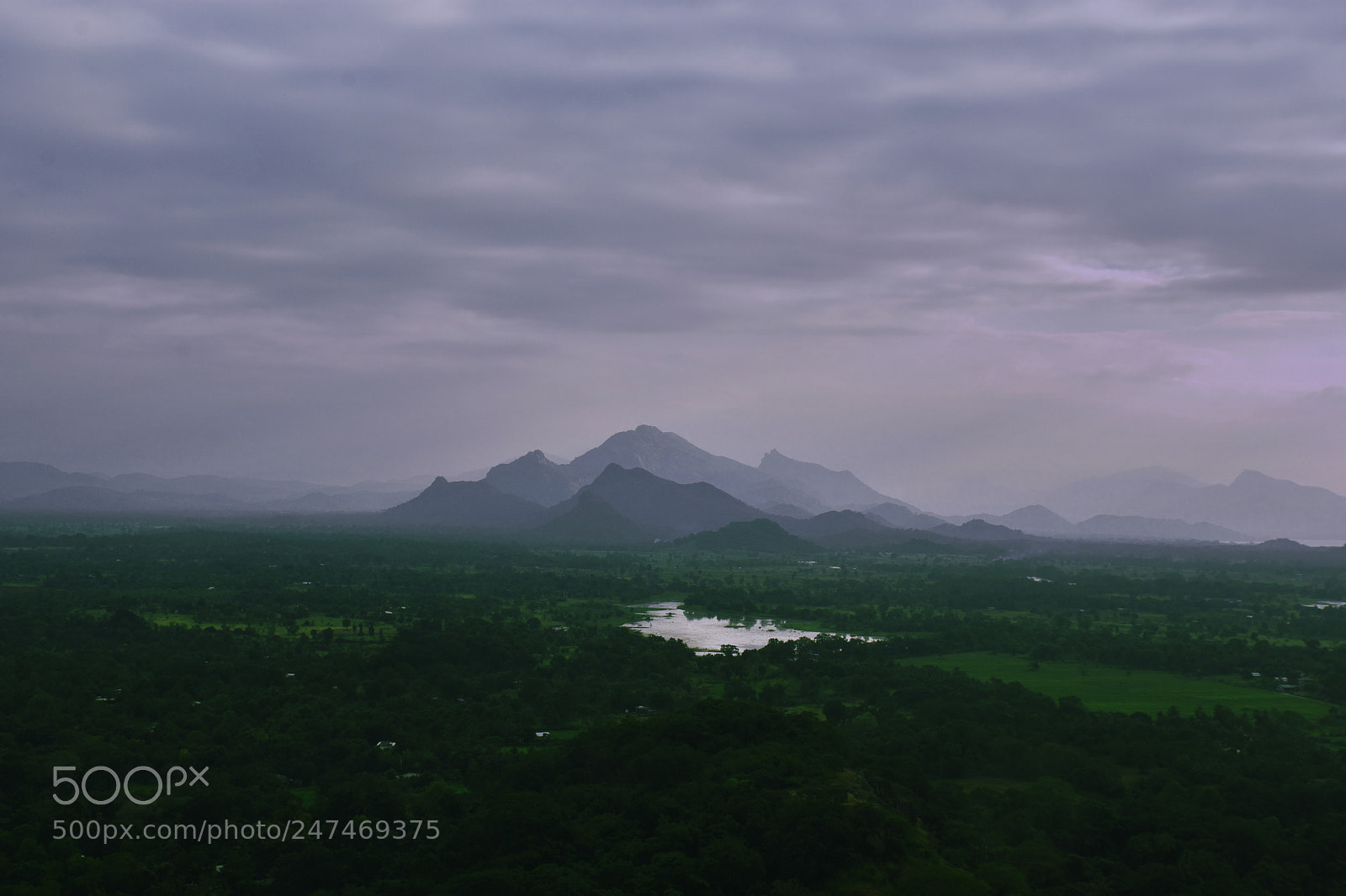 Nikon D7200 sample photo. Untitled photography
