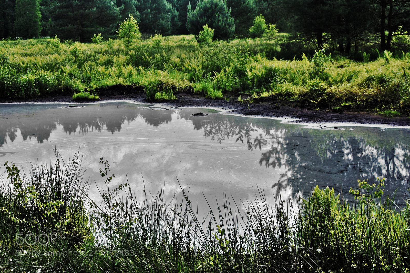 Nikon D5200 sample photo. Im moor photography
