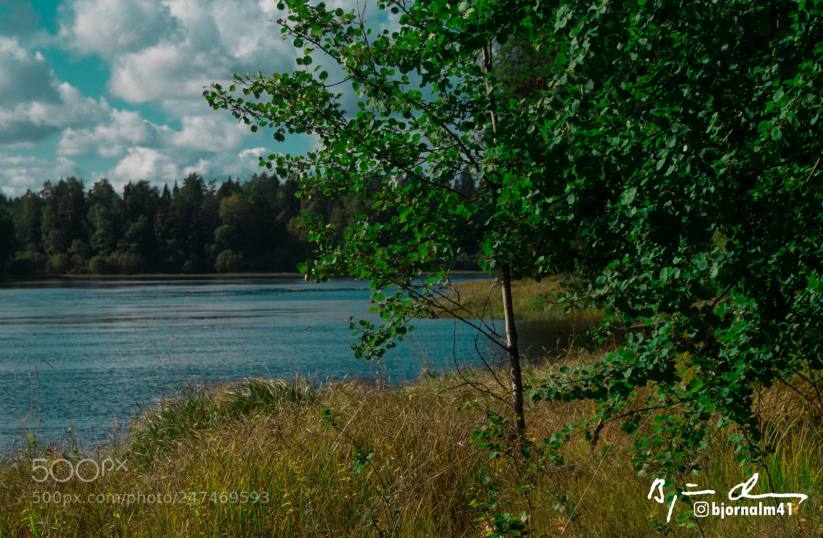 Sony SLT-A58 sample photo. Järndammen sala sweden photography