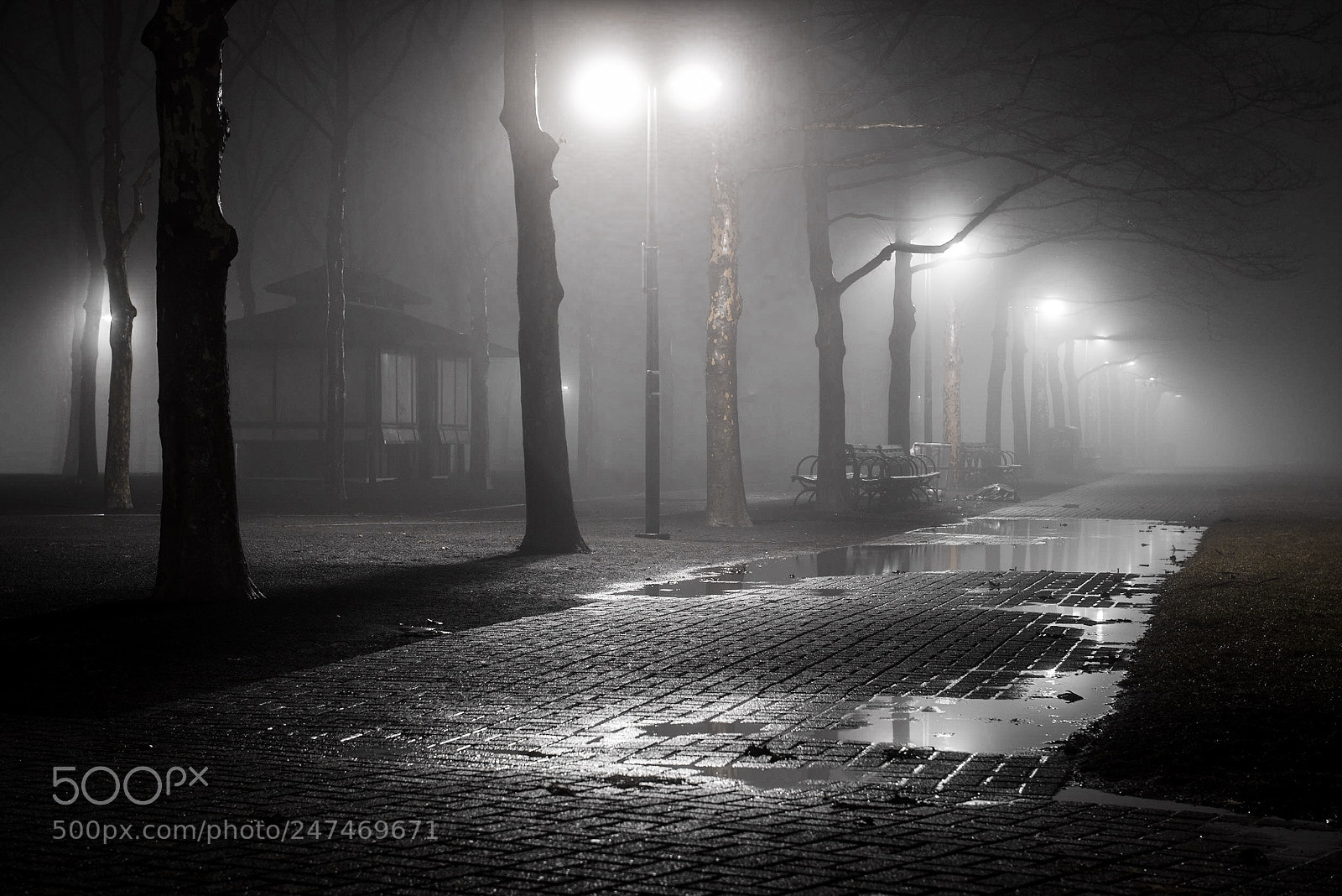 Nikon D810 sample photo. Rainy night in nyc photography