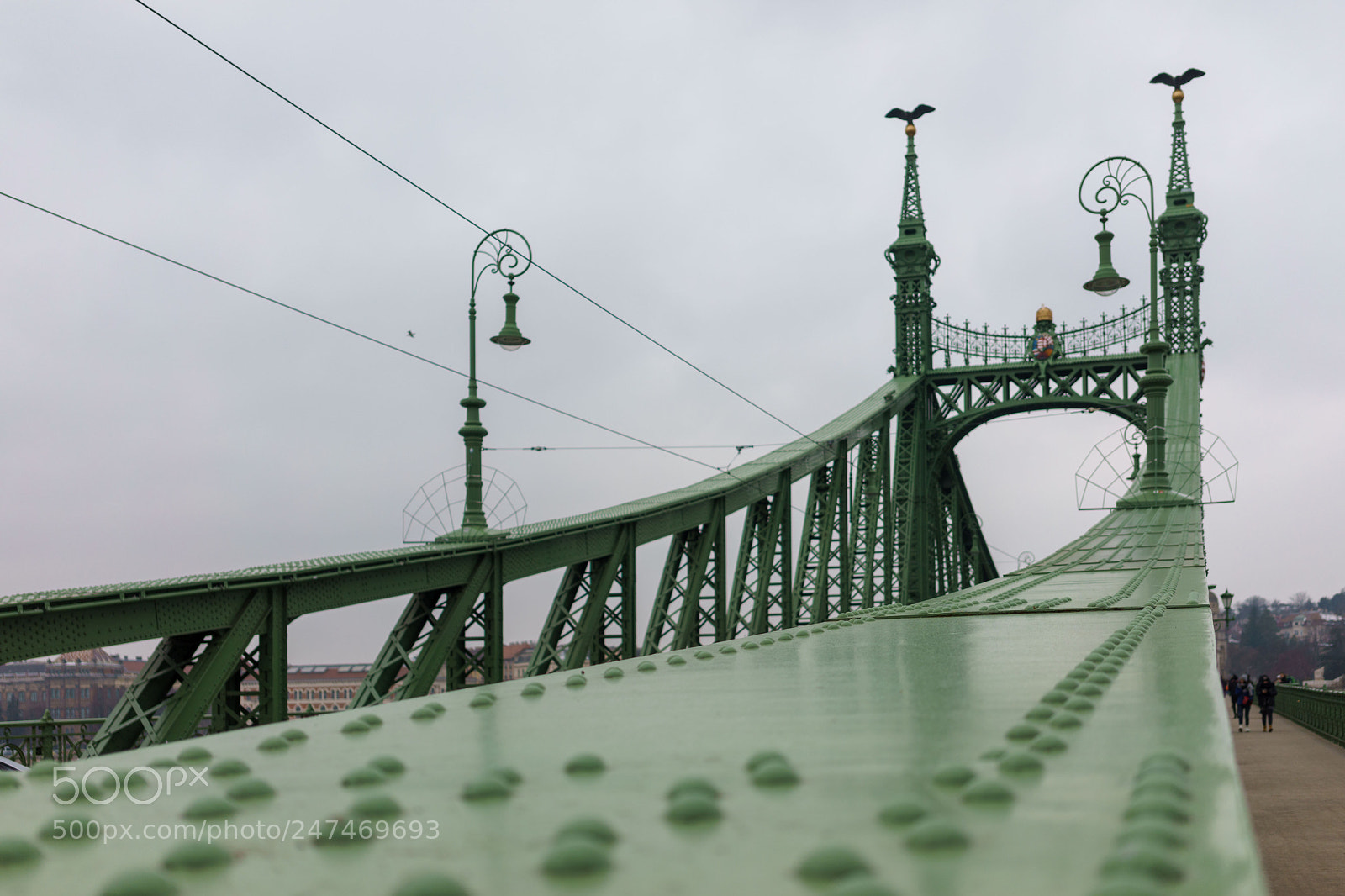 Sony a7 II sample photo. 40438935982.jpg photography