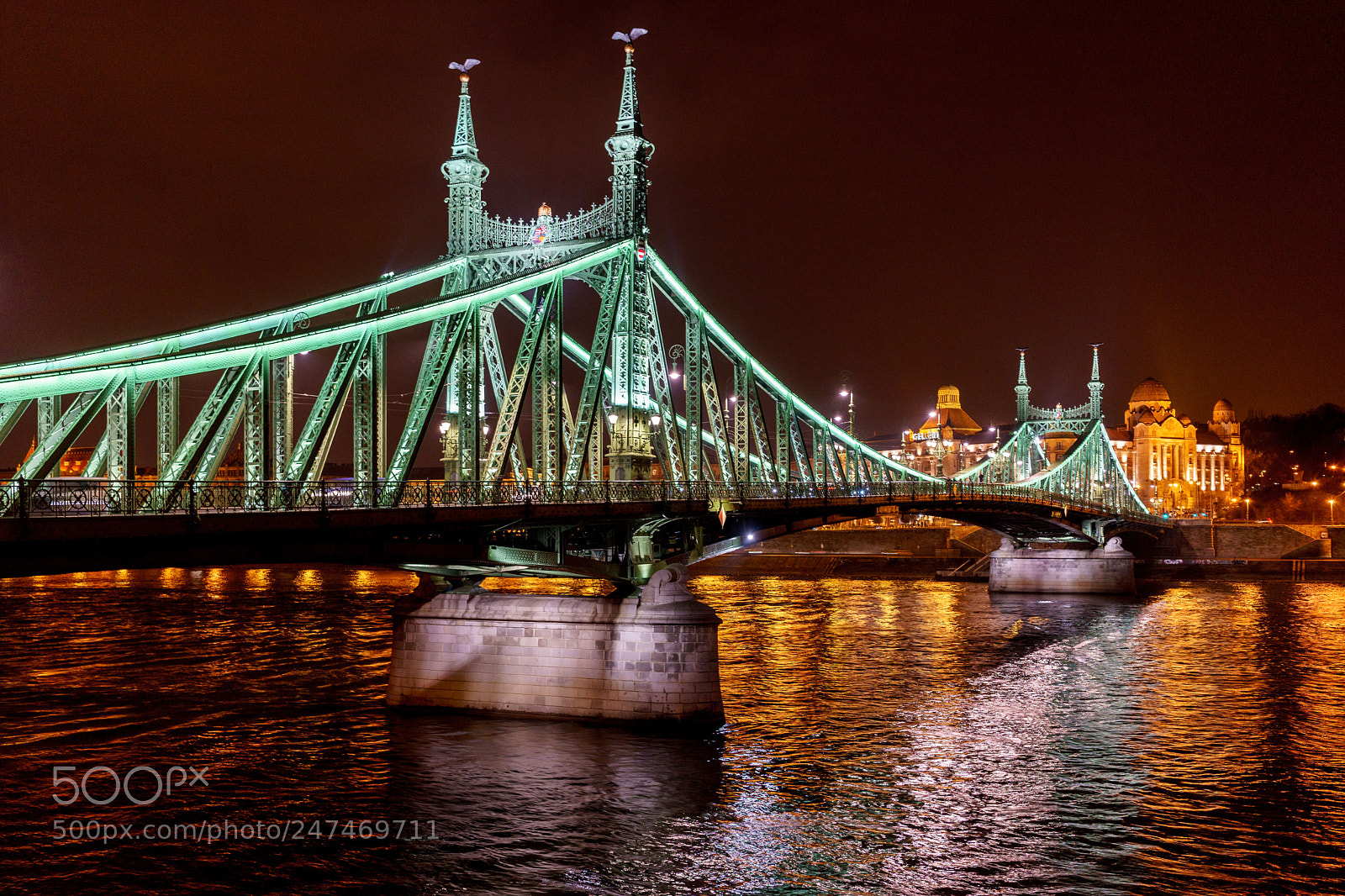 Sony a7 II sample photo. 40438979102.jpg photography