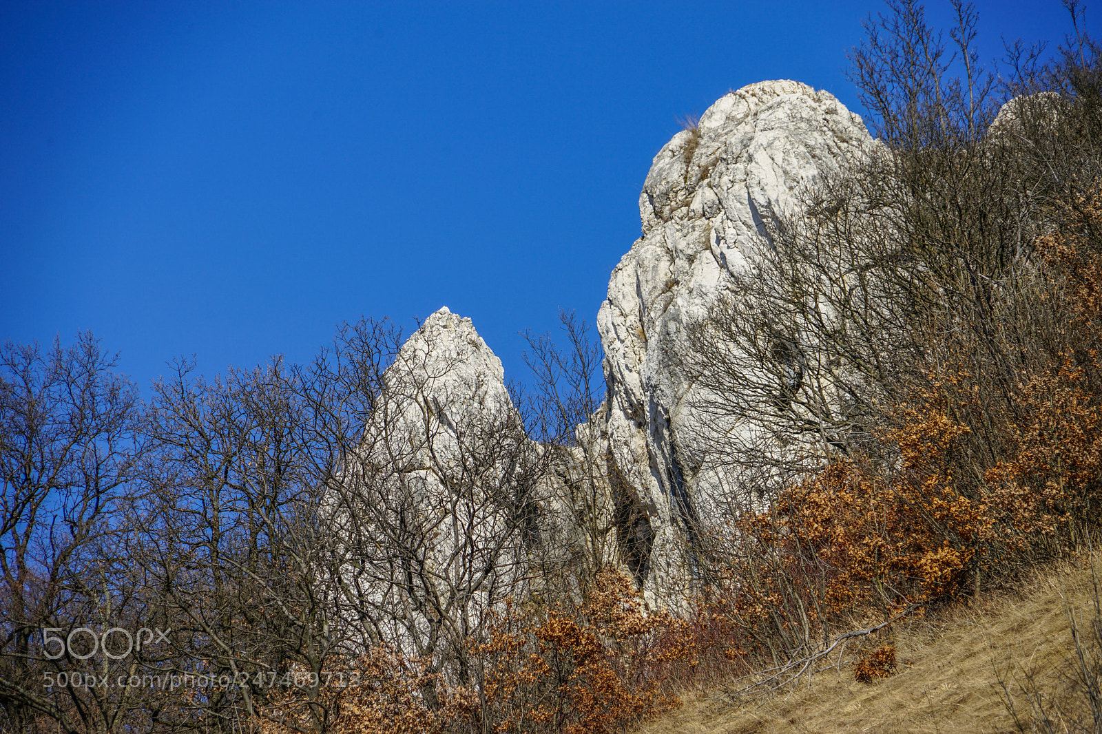 Sony a7 II sample photo. 38812655785.jpg photography