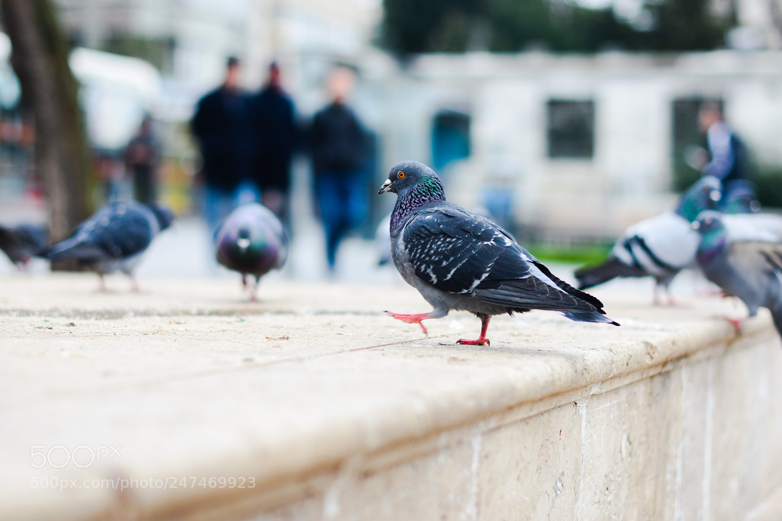 Nikon D7200 sample photo. Untitled photography