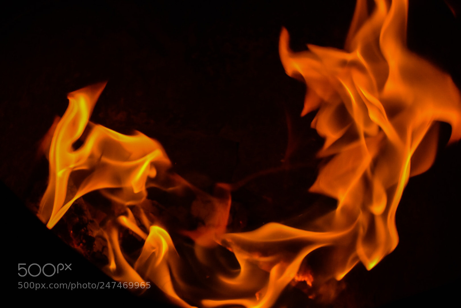 Nikon D7200 sample photo. Untitled photography