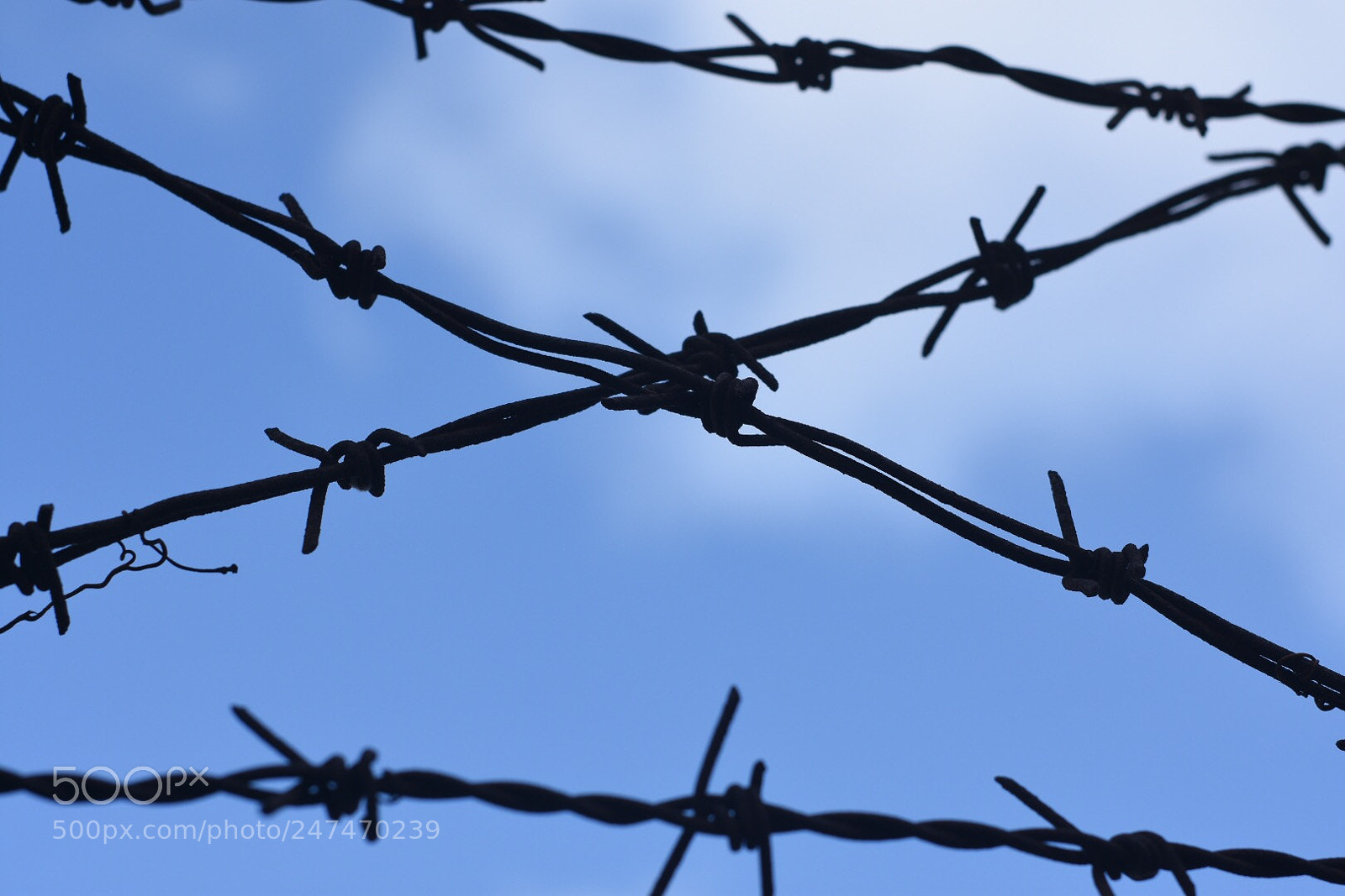 Nikon D7200 sample photo. Untitled photography