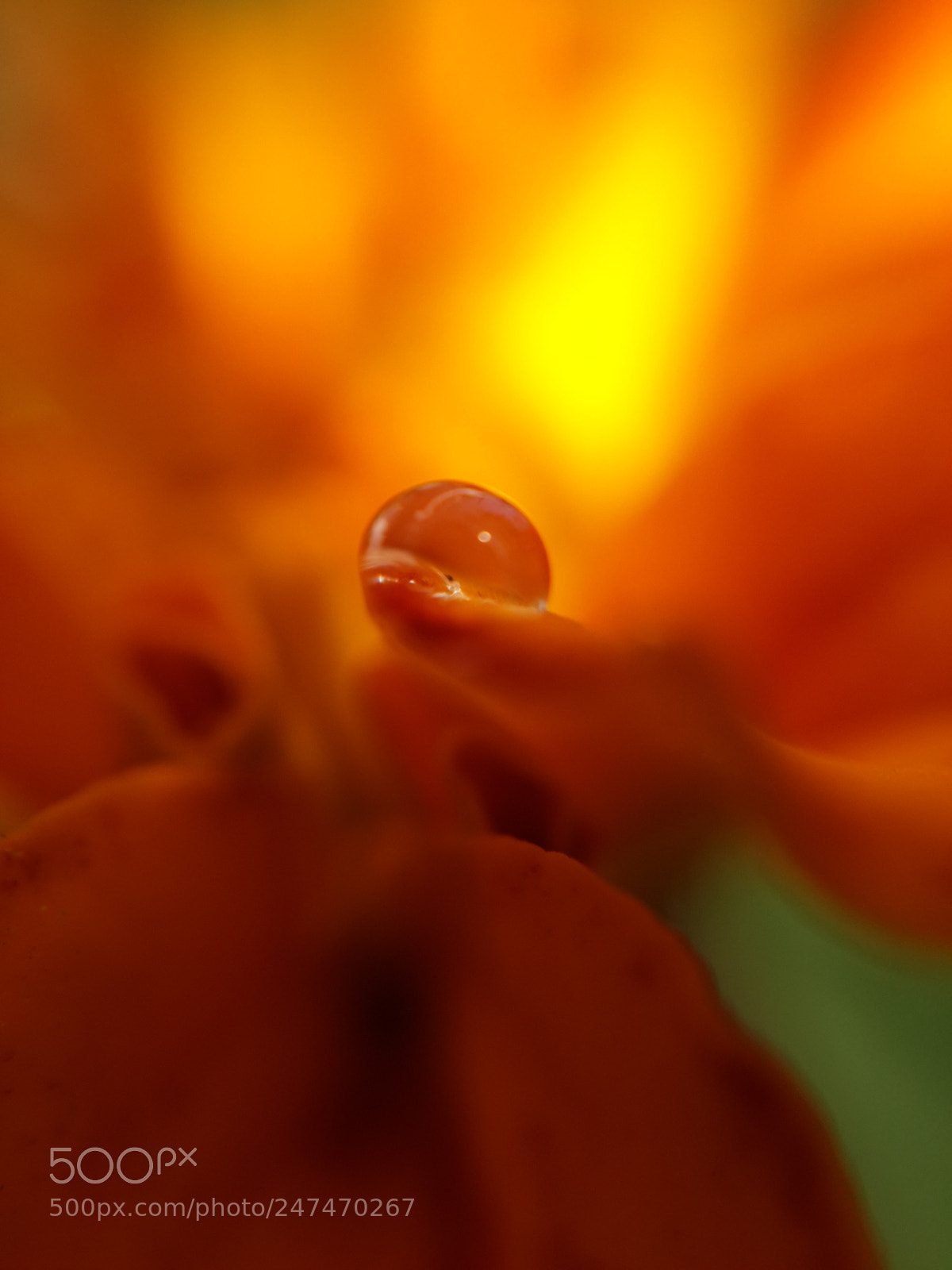 Samsung Galaxy S4 sample photo. ? photography