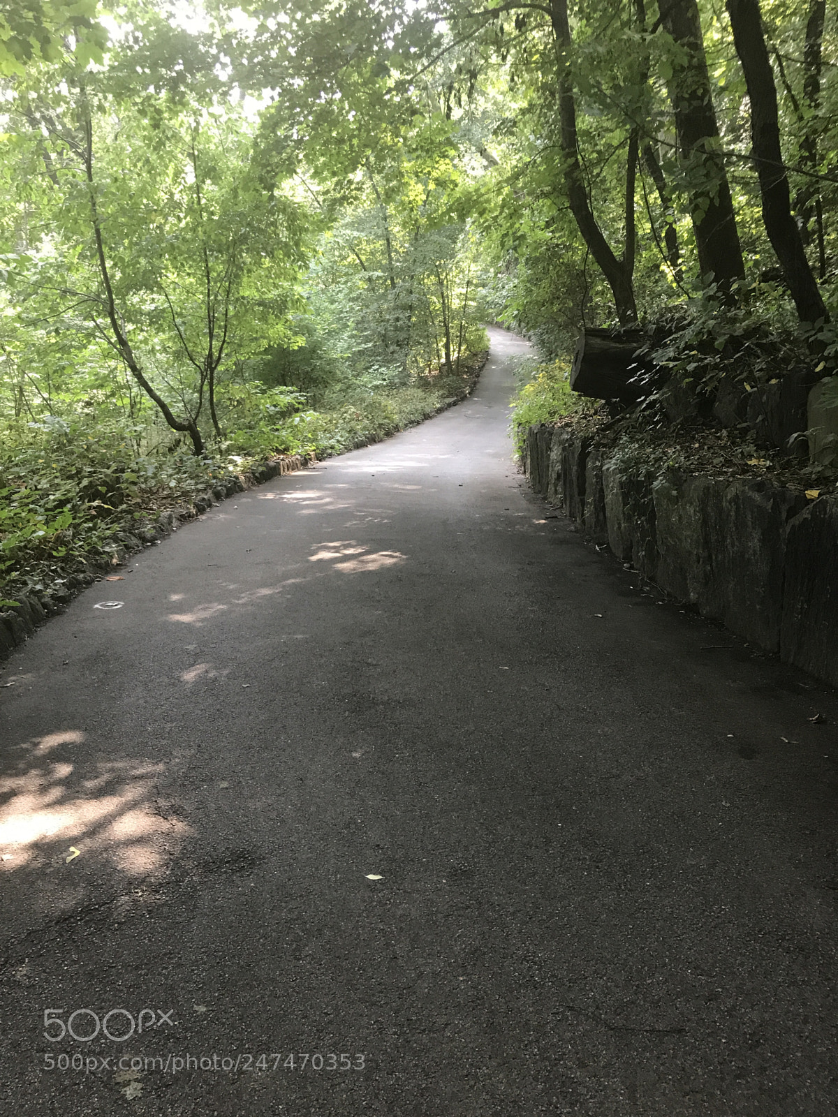 Apple iPhone 7 Plus sample photo. On the right path photography