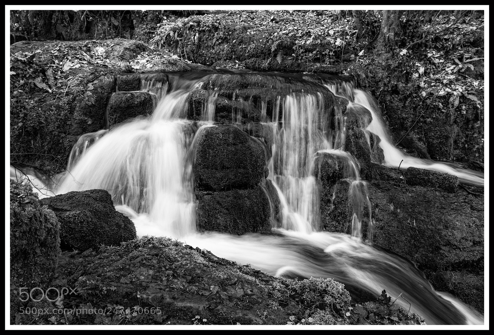 Nikon D3200 sample photo. Badger falls photography